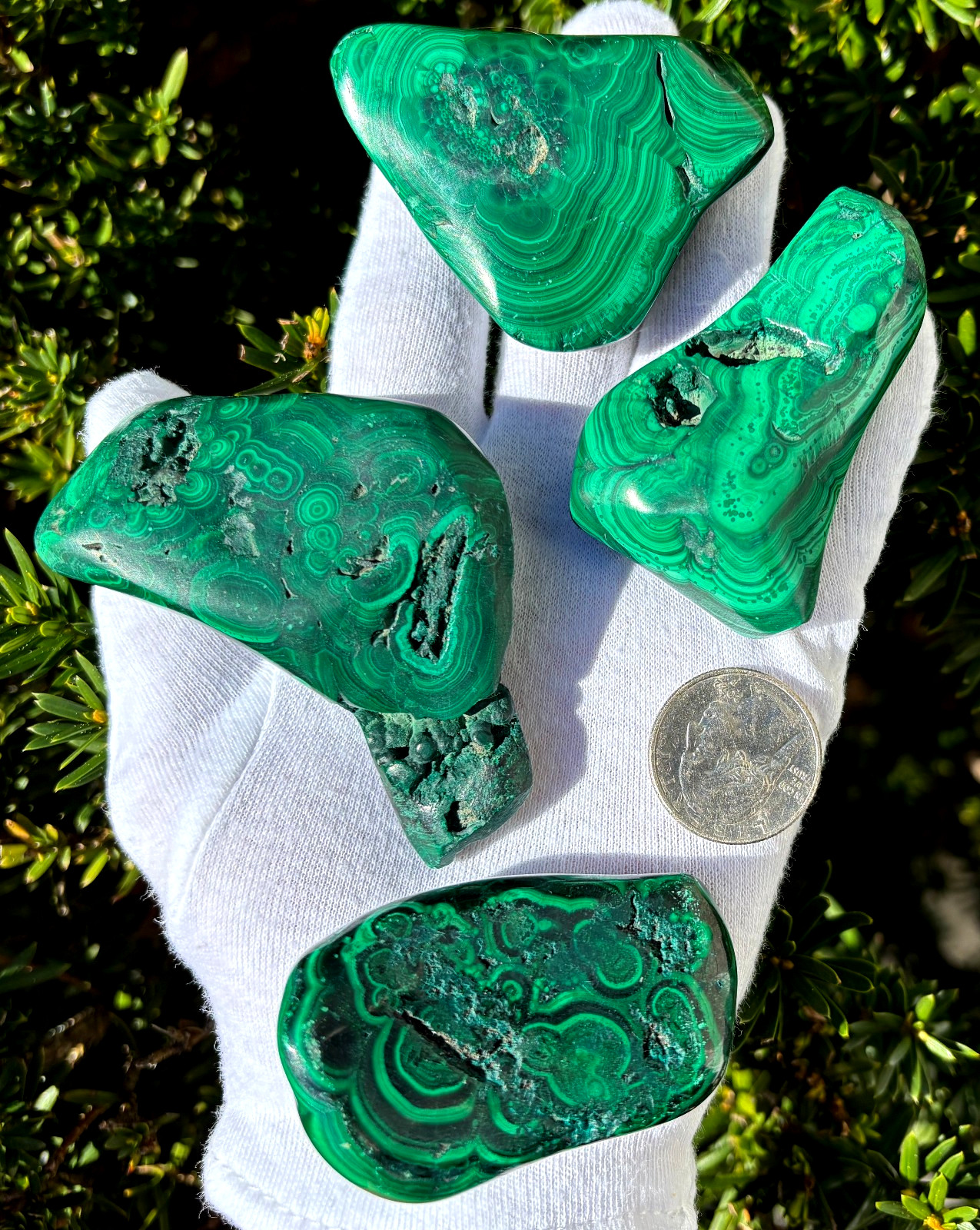 USA SALE 402g LOT MALACHITE POLISHED XL TUMBLE PALMSTONE SIZE PALM STONE STONES