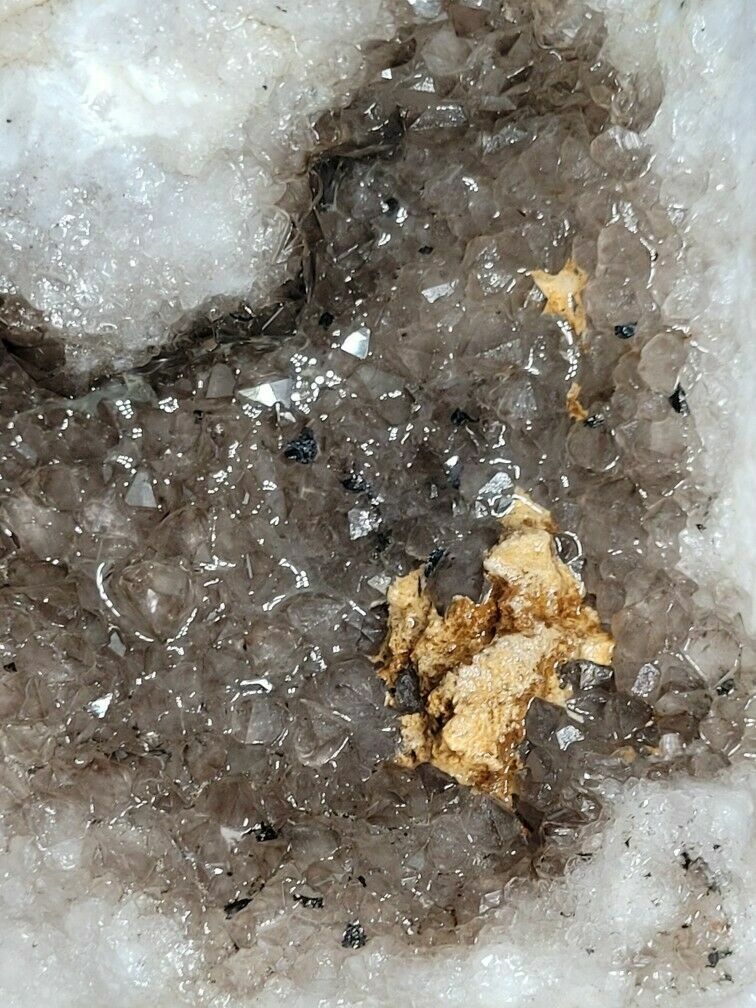 1.5 LB Kentucky Agate Geode Smokey Quartz Cluster