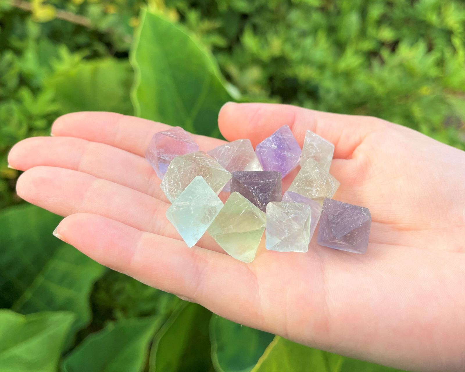 Fluorite Octahedron Crystals: Choose How Many Pieces (Premium Quality ‘A’ Grade)