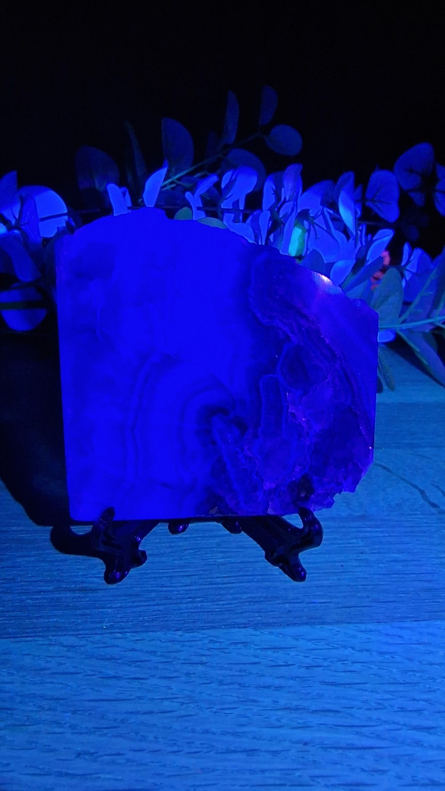 Rainbow Fluorite Crystal Slab Raw Specimen 205g UV Reactive Free Stand