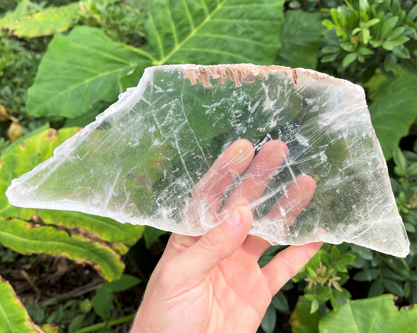 JUMBO Natural Selenite Slabs & Stand! Raw Selenite Slice, Selenite Crystal Plate