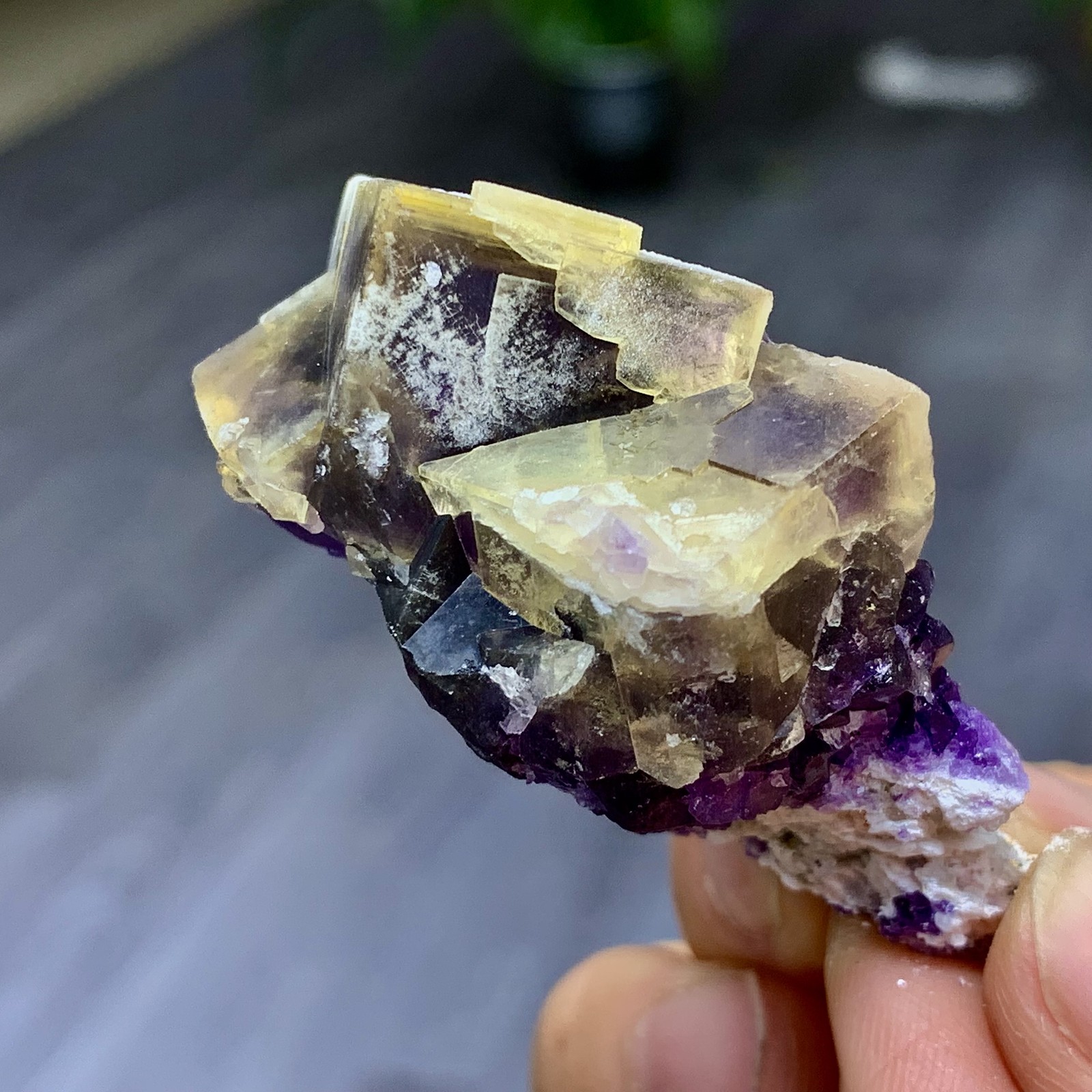 48G Rare transparent purple cubic fluorite mineral crystal sample/China