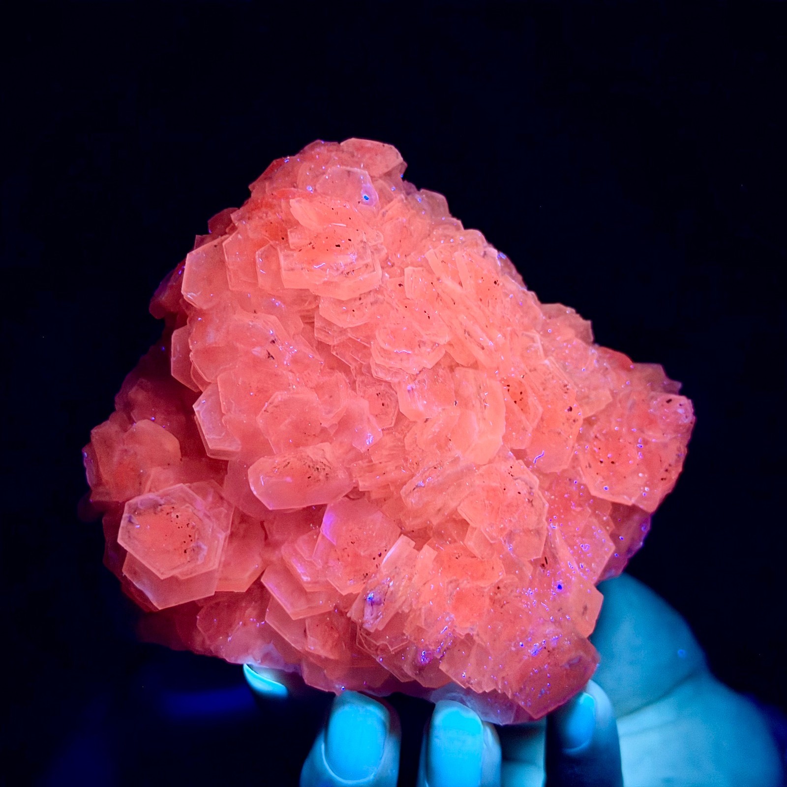 493G Natural String of Copper Coins Calcite/Fluorescent Glow Under UV Light