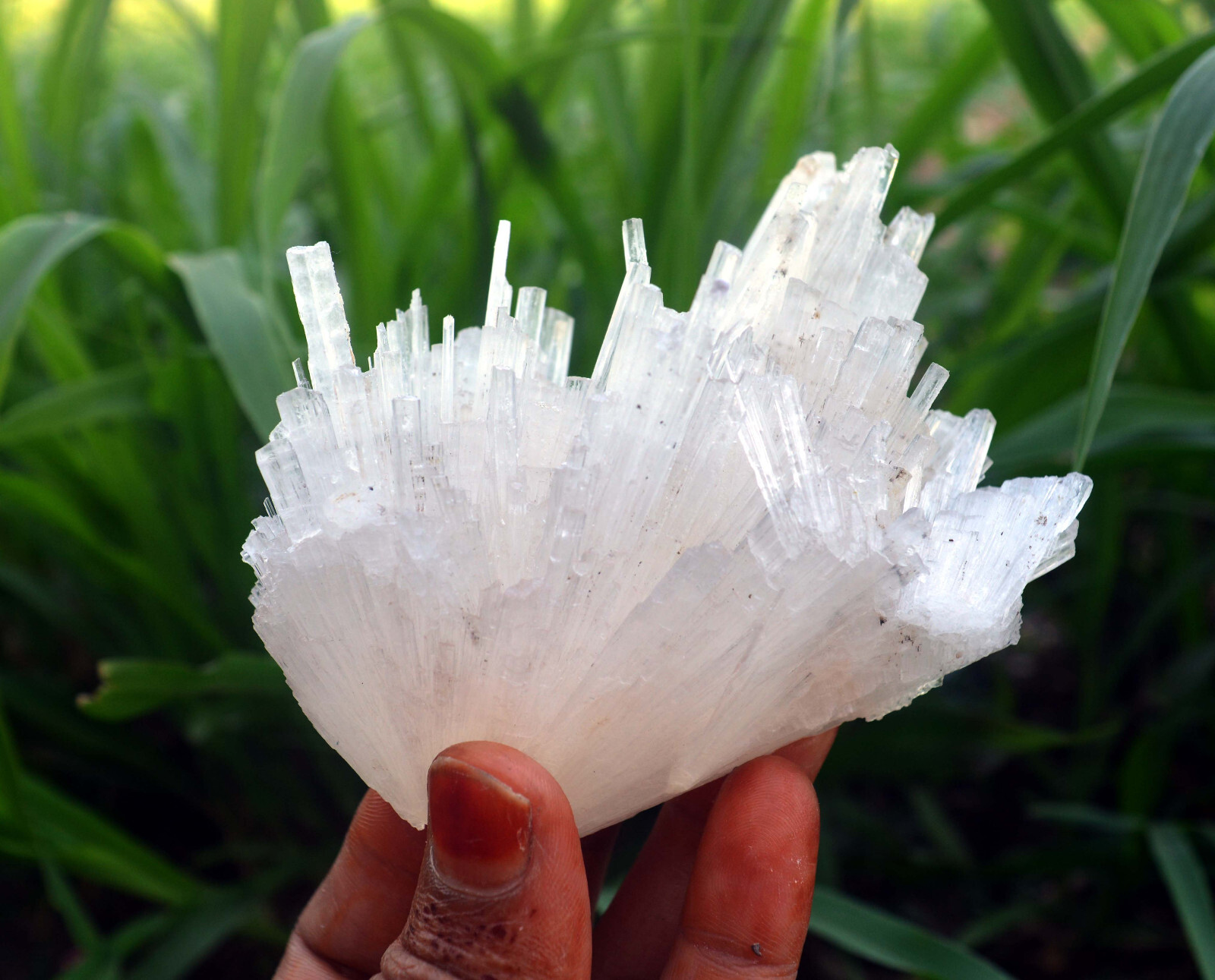 scolecite spray minerals specimen a-4