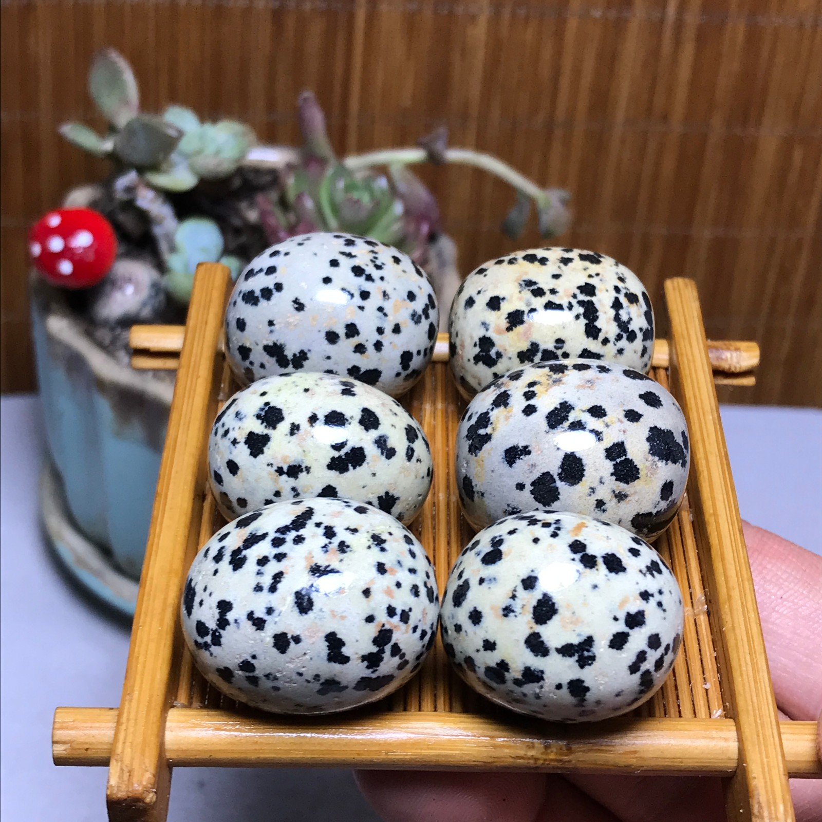 28-22-21mm 6Pcs Natural spotted stone Crystal gemstone Mineral Specimen A4402