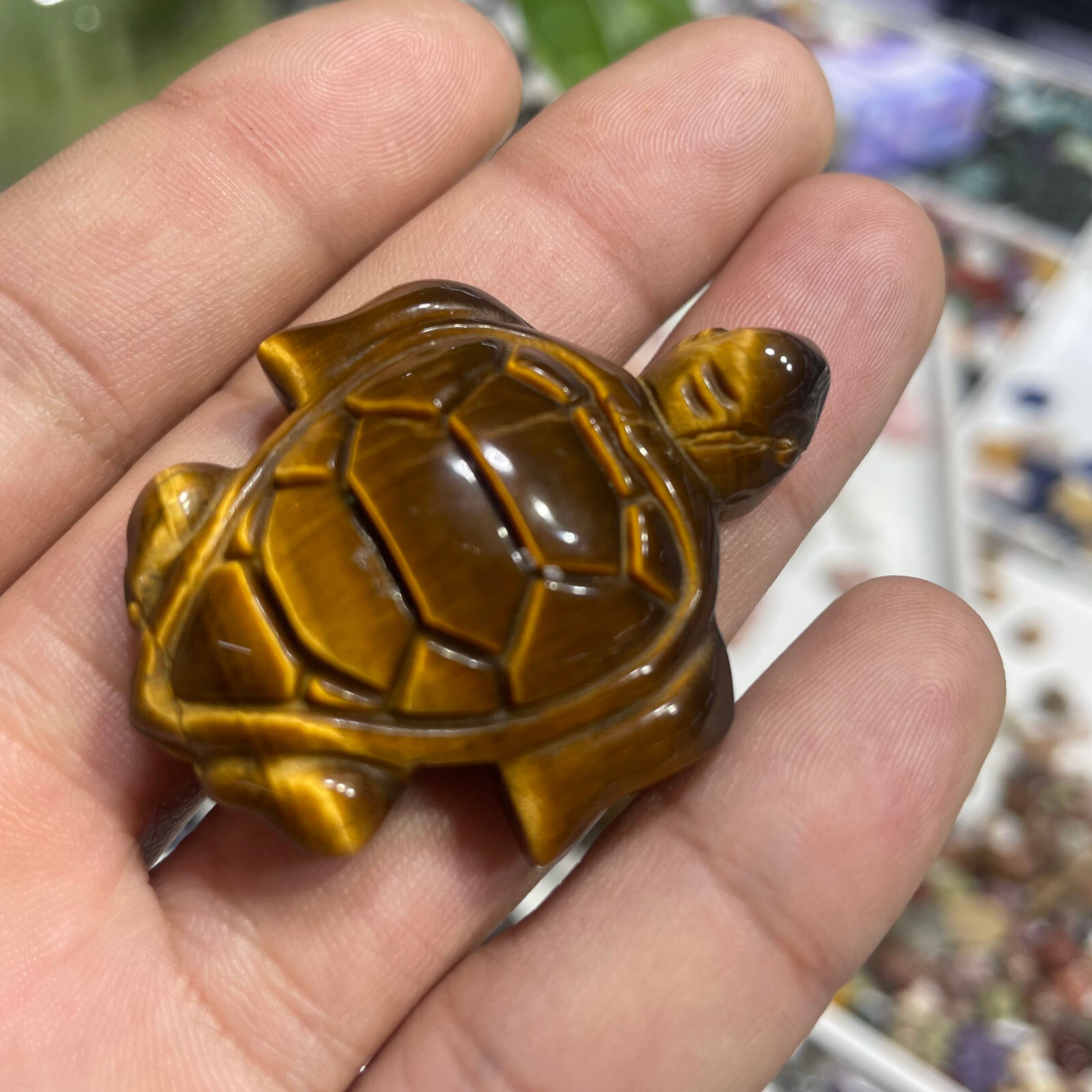 Natural Tiger eye tortoise Quartz Skull Crystal Specimen Reiki Healing Gift 1PC