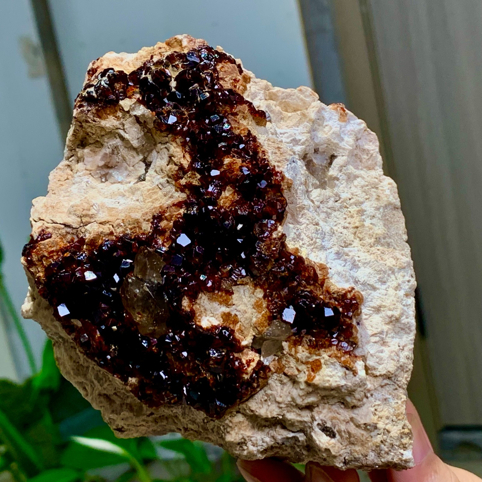1.92LB Natural Garnet with smokey quartz cluster Crystal Mineral Specimen