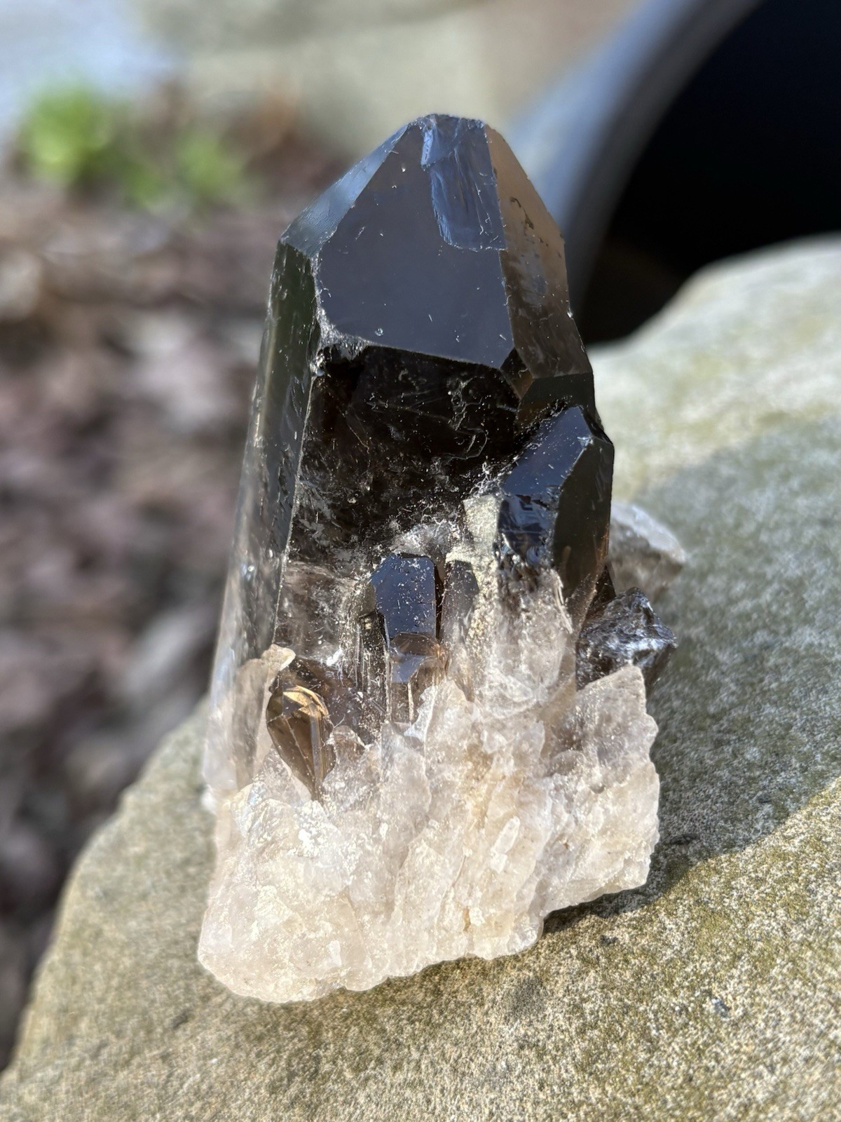 Smoky Quartz Crystal Cluster- Natural 2.7” Raw Smoky Quartz Crystal Specimen