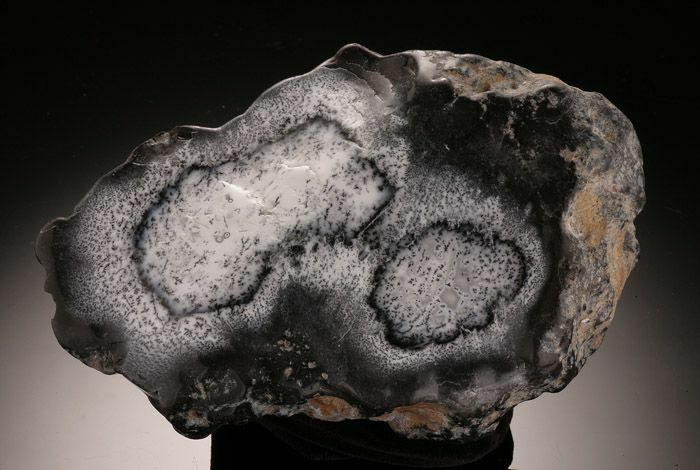 Nice Chunk of dendritic agate showing the contrasting white and black pattern