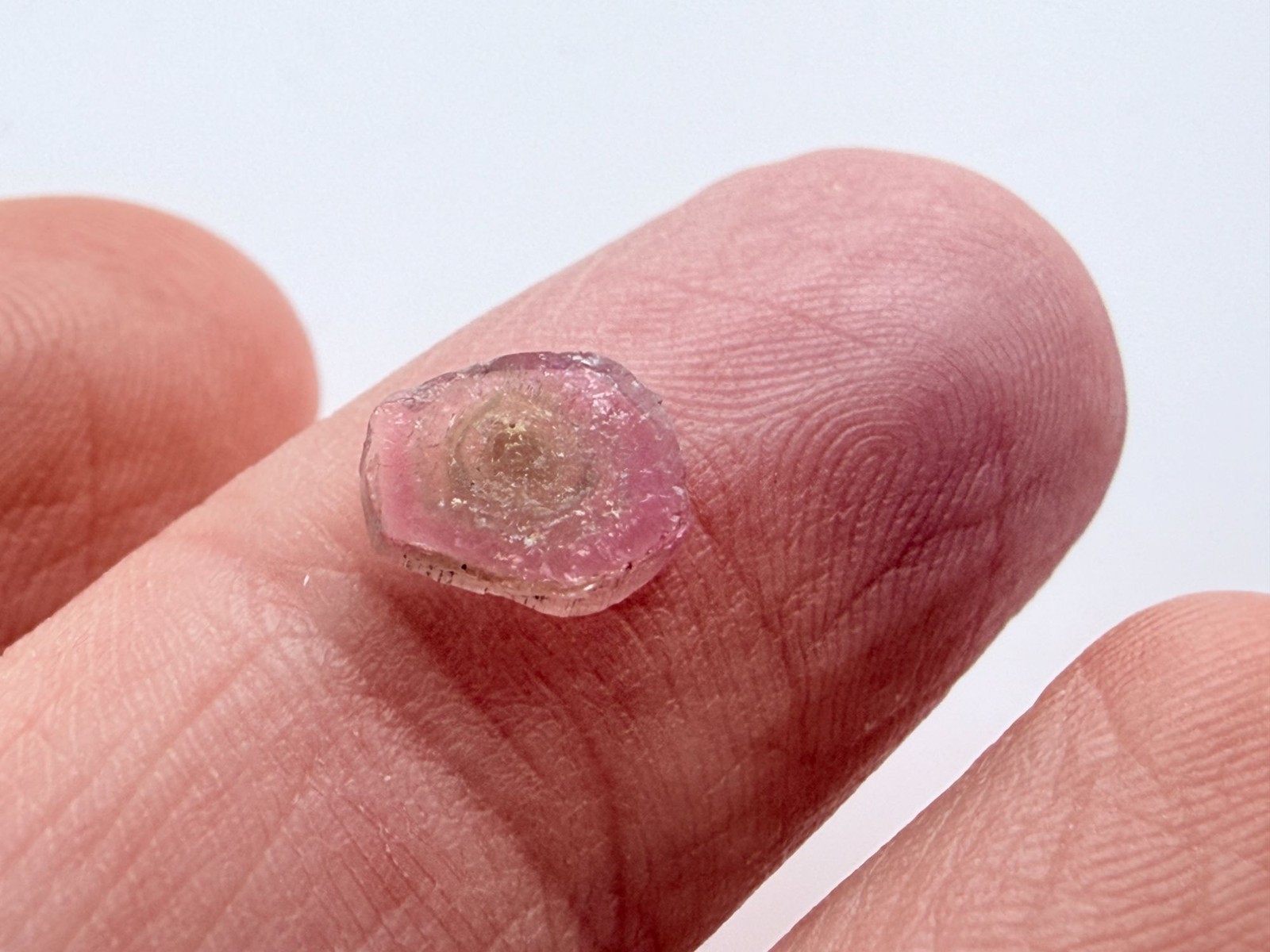 Watermelon Tourmaline Slice Specimen .835 ct 7.35mm Max Length Natural Shape