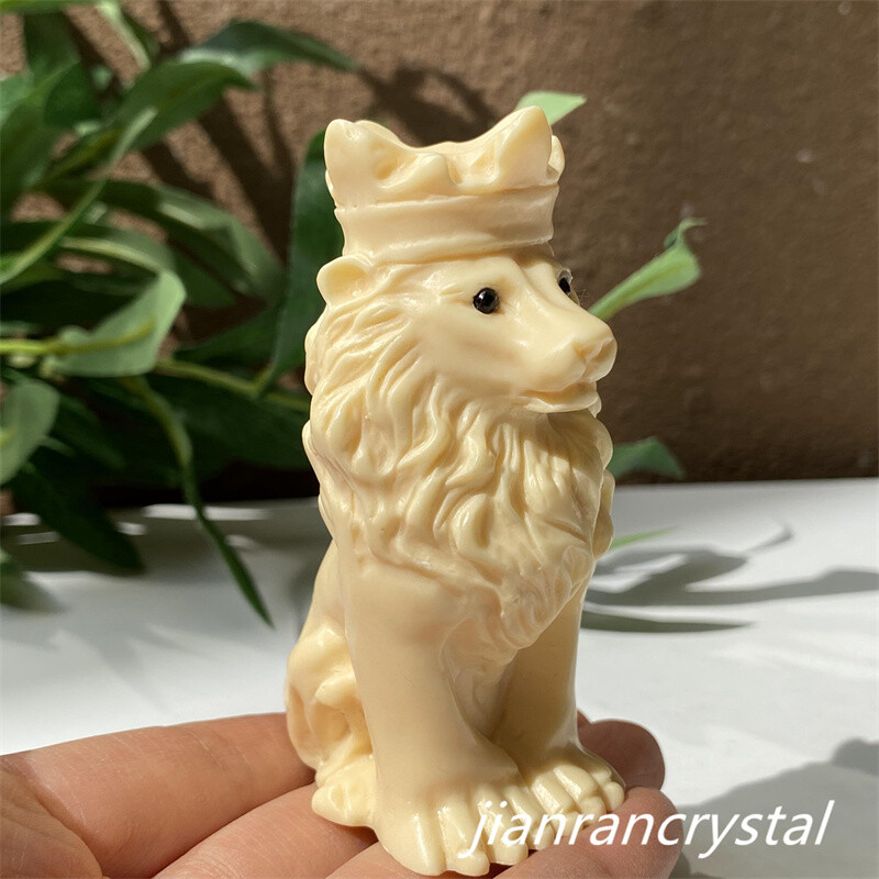 3” Natural Plant Fruit Lion Hand Carved Decoration Skull Gift Reiki Healing 1pc