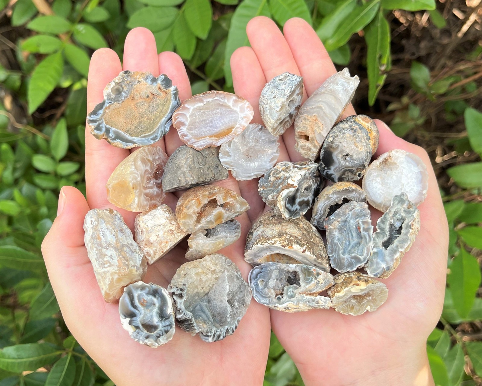 Oco Agate Geodes 1/2 lb Box Lot – ‘B’ Grade Natural Crystal Agate Druzy Halves