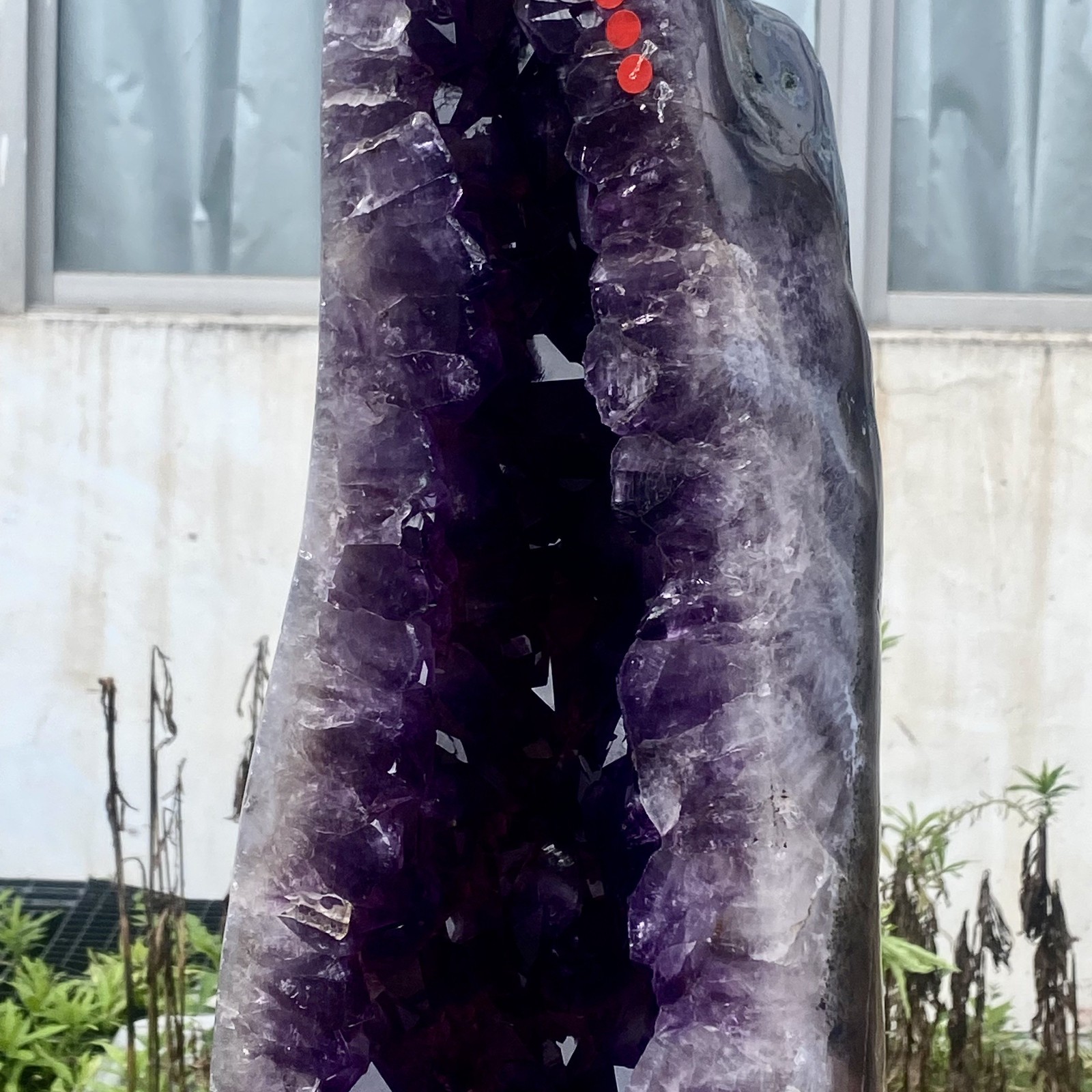 72LB Top Natural Amethyst quartz Crystal Church Cathed Crystal Wand Reiki ener