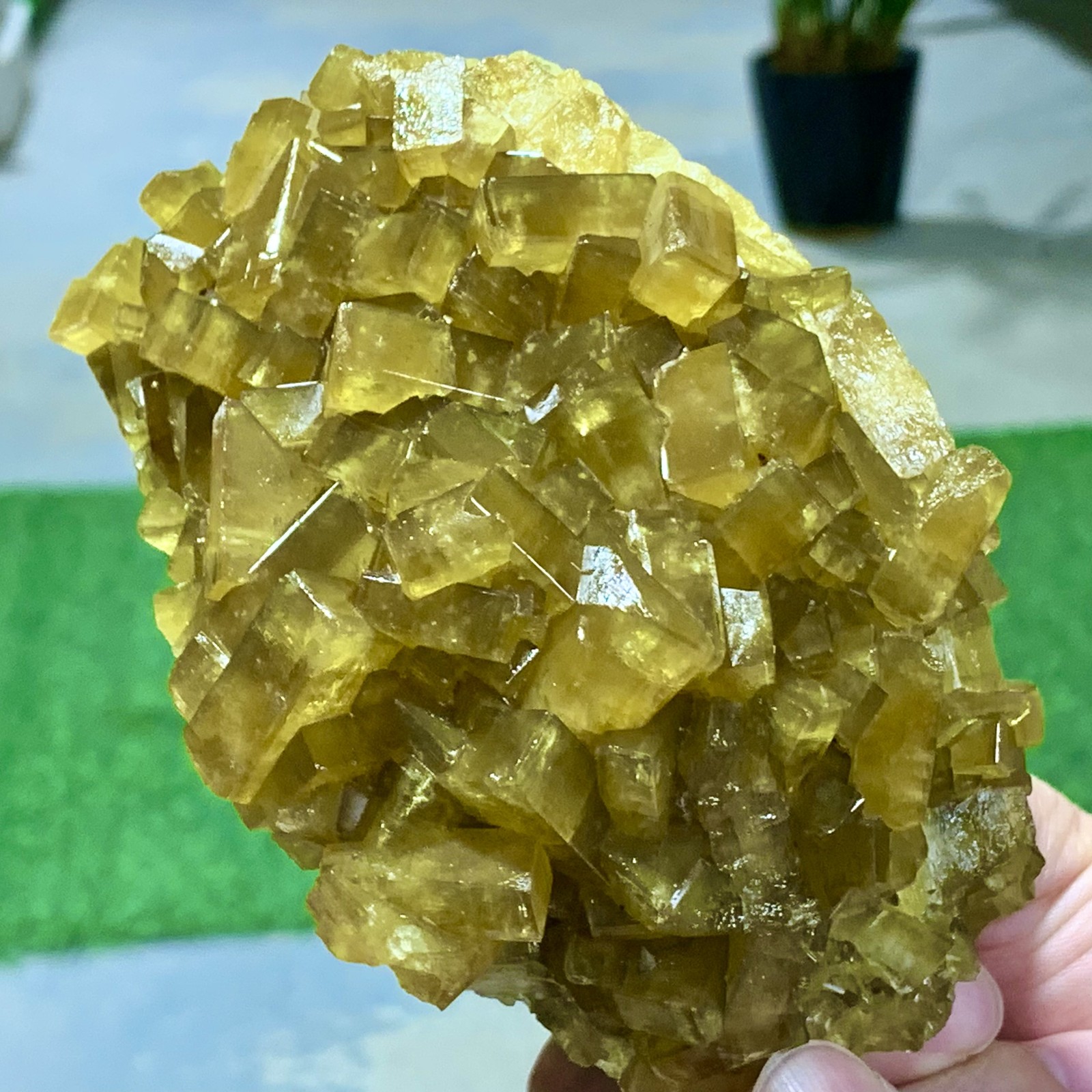 1.87LB Shiny Golden Cuboid Barite Crystal Based on the Purple Spherical Fluorite