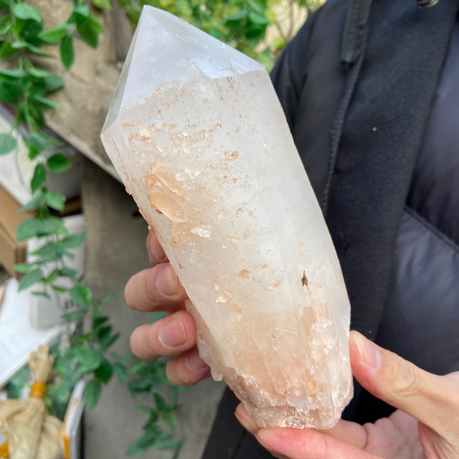 2.9lb Natural clear white crystal quartz point rough mineral specimen