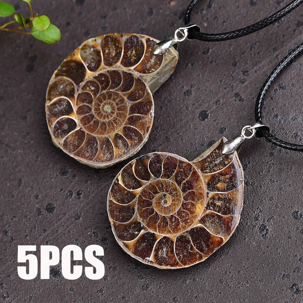 5PCS Natural Conch Fossil Quartz Crystal Pendant healing Mineral Necklace Decor