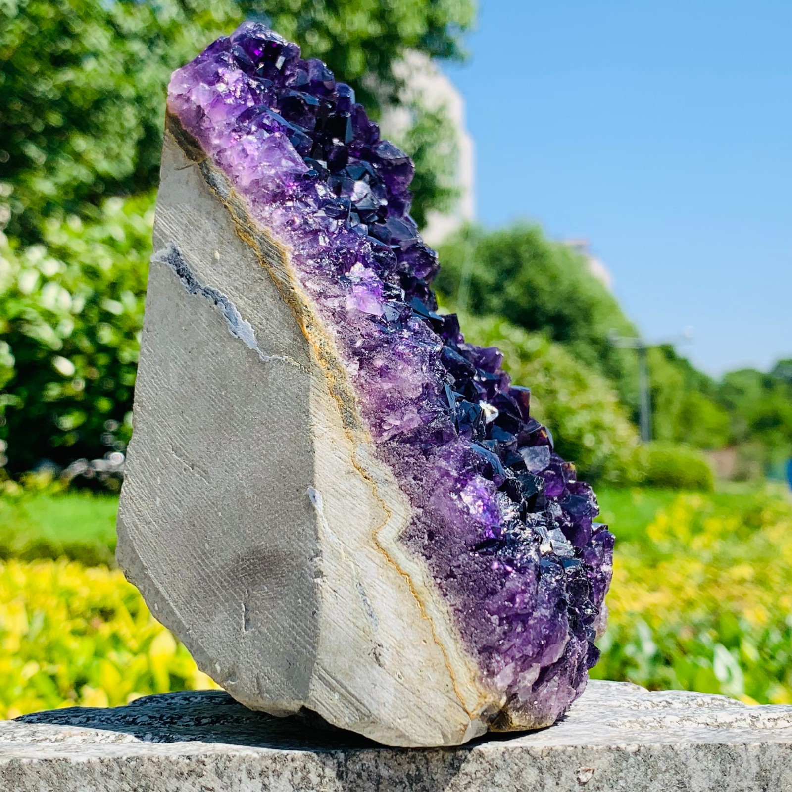 2.57LB High Quality Natural Amethyst quartz cluster crystal specimen Healing