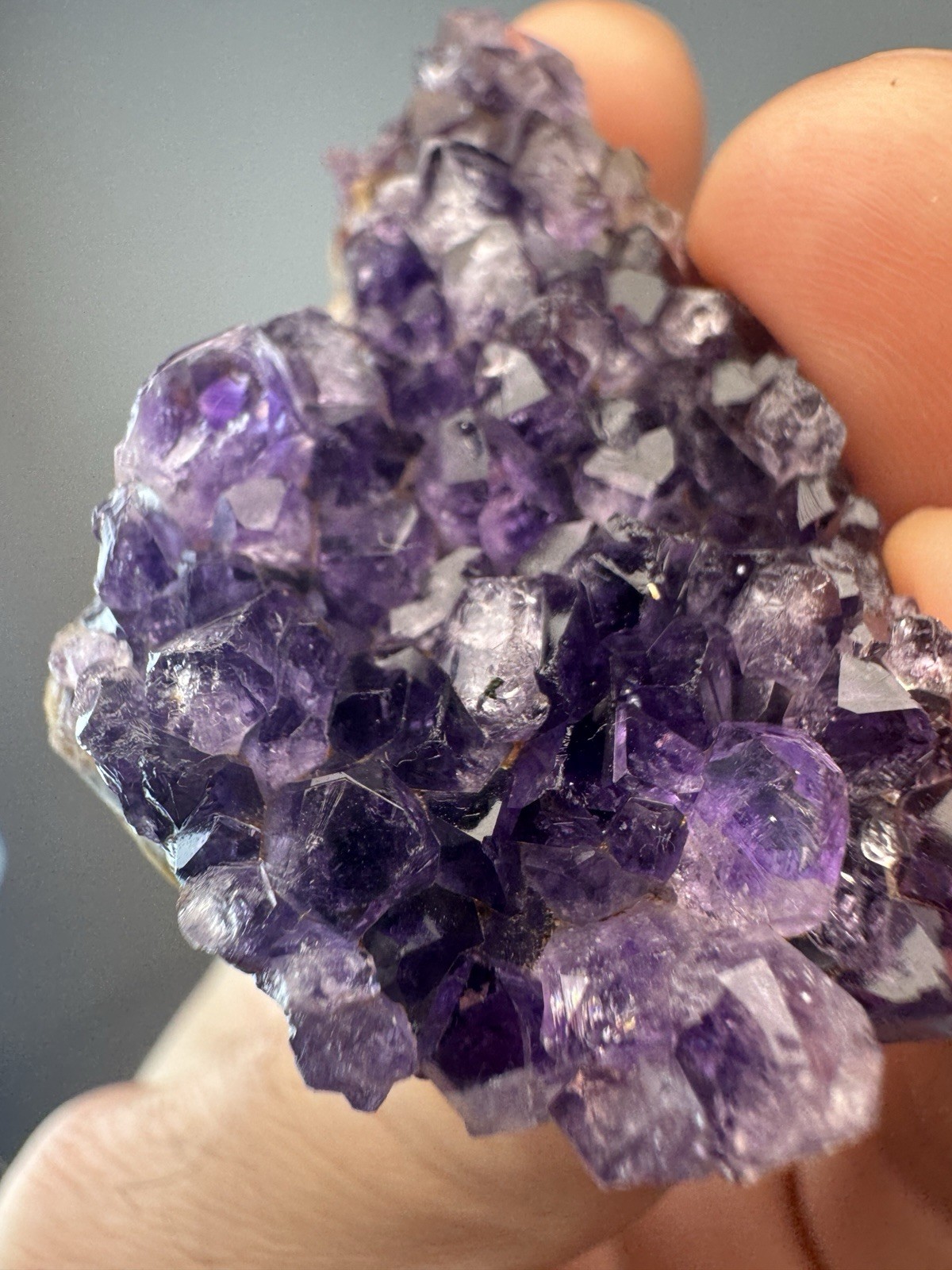 Druzy Deep Royal Purple Amethyst Collector 5 Piece Cluster Set From Brazil