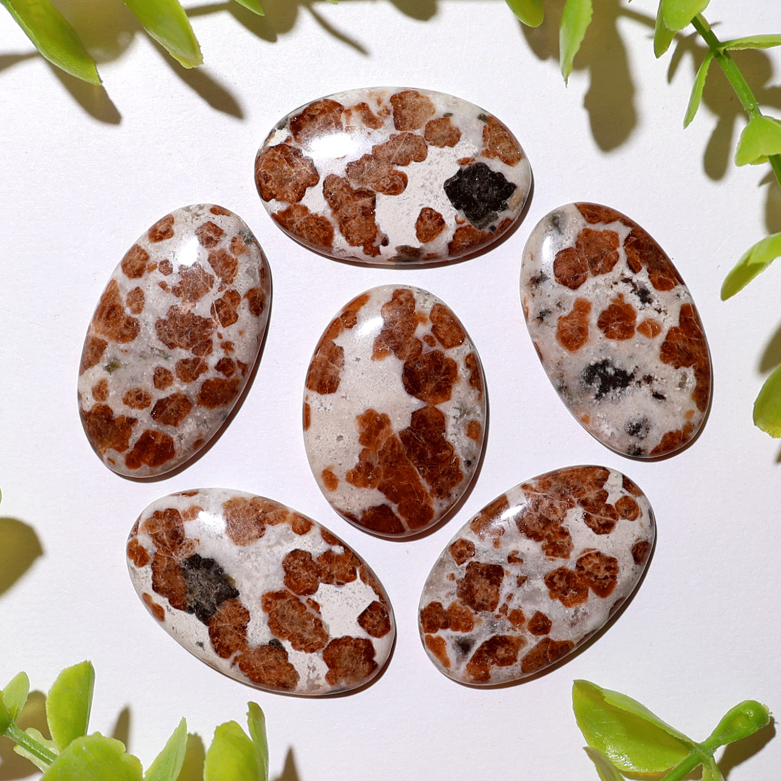 Fiery Blossoms – 6 PC Garnet In Wollastonite Crystals Set – Vitality & Strength