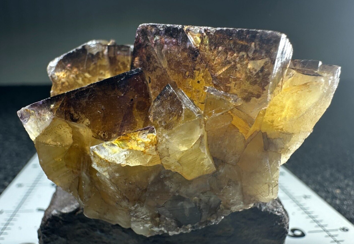 ➤ 2-1/2″ LIGHT PURPLE FLUORITE on AMBER FLUORITE Cave In Rock Illinois VIDEO➤473