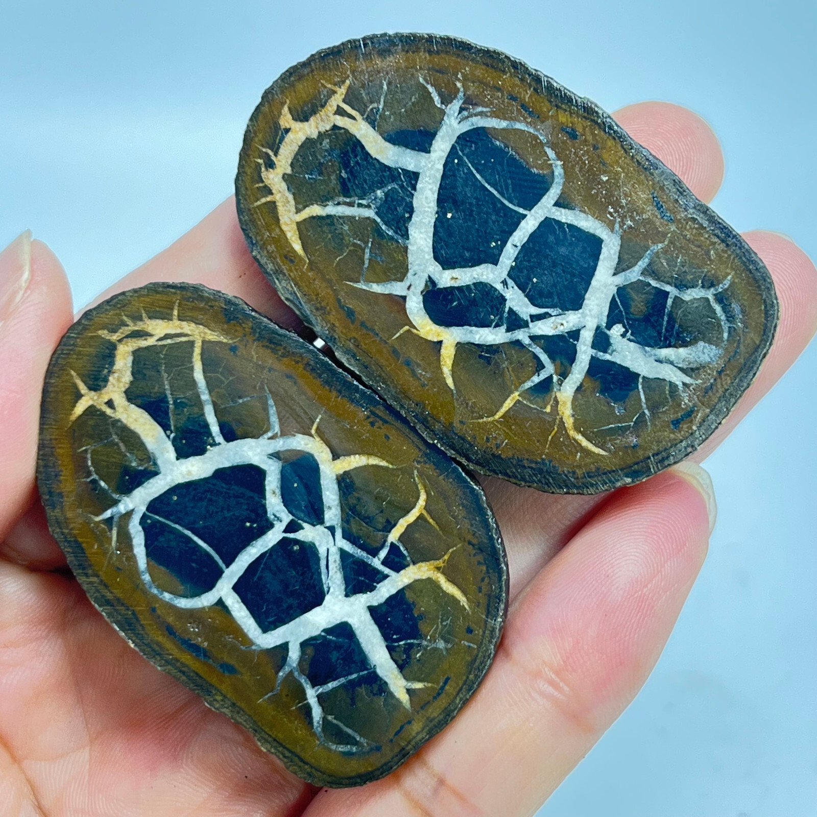 62G Natural Crystal Moroccan Turtle Back Stone Cutting Quartz Energy Spirit