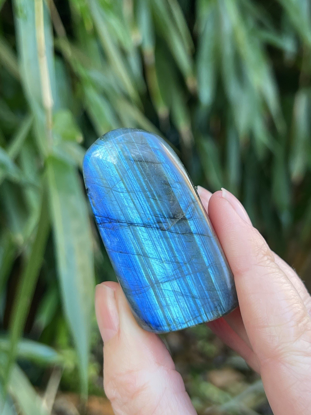 Deep Blue Labradorite Freeform Iridescent Crystal AAA+ 14