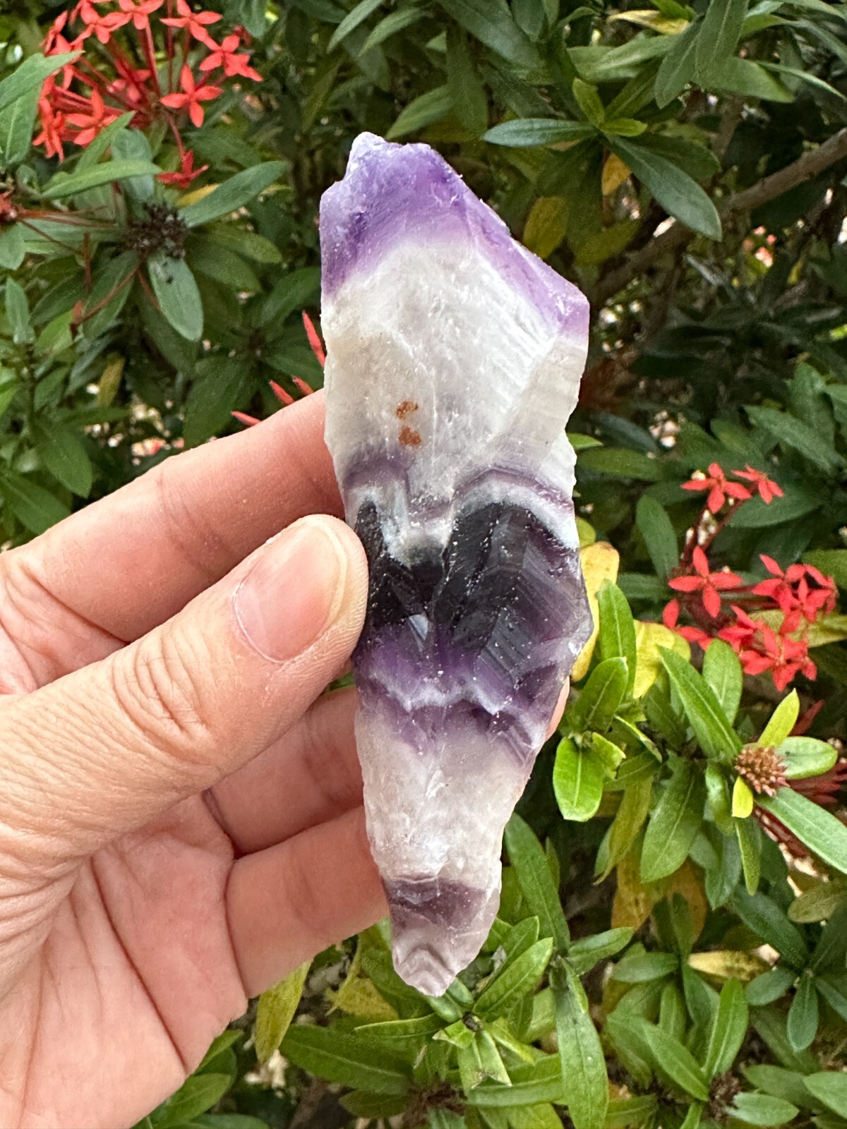 Grade A++ Chevron Amethyst Rough Stones, 2″ – 4″ Natural Chevron Amethyst Point