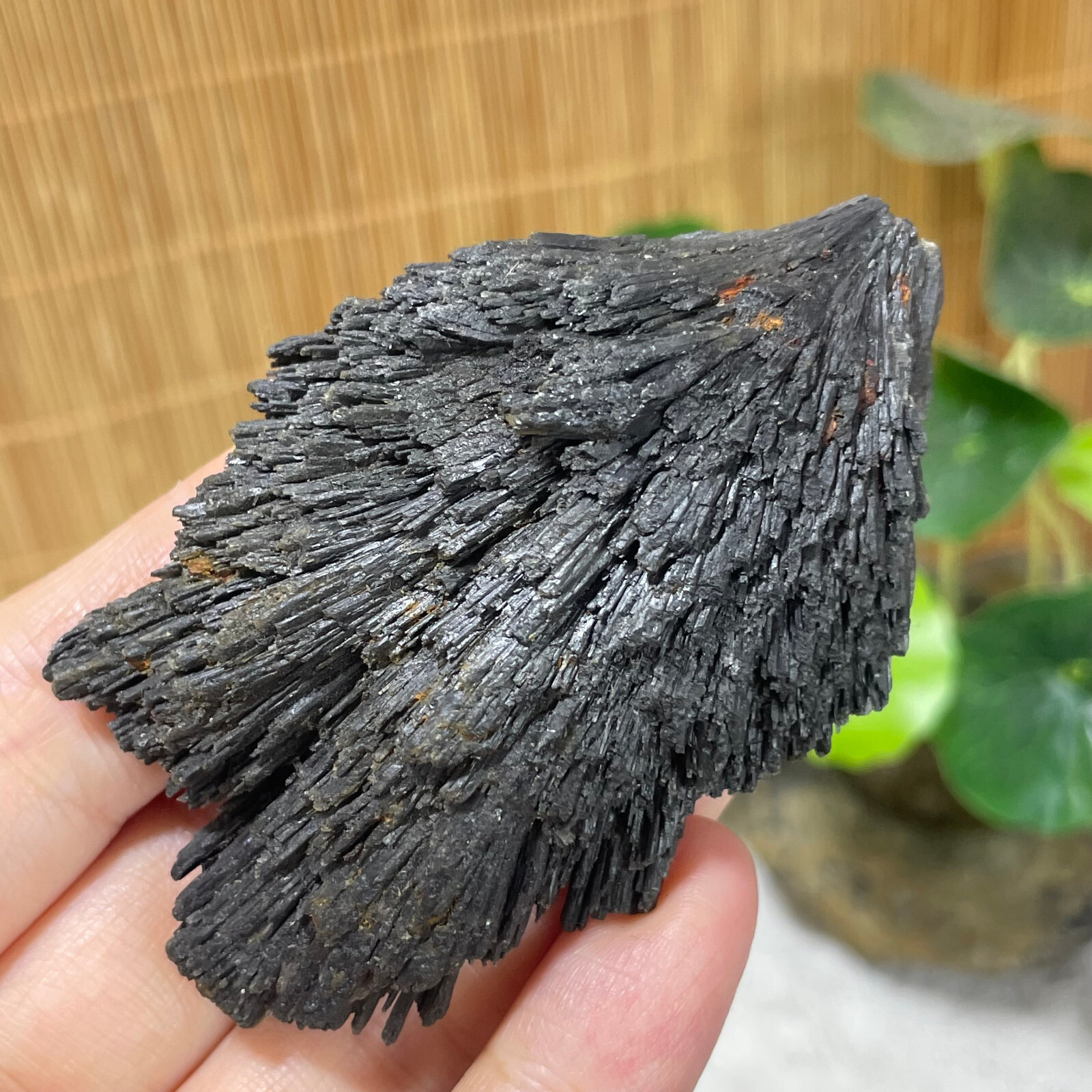 77g Natural Irregular natural black crystal cluster mineral specimen（dian qishi）