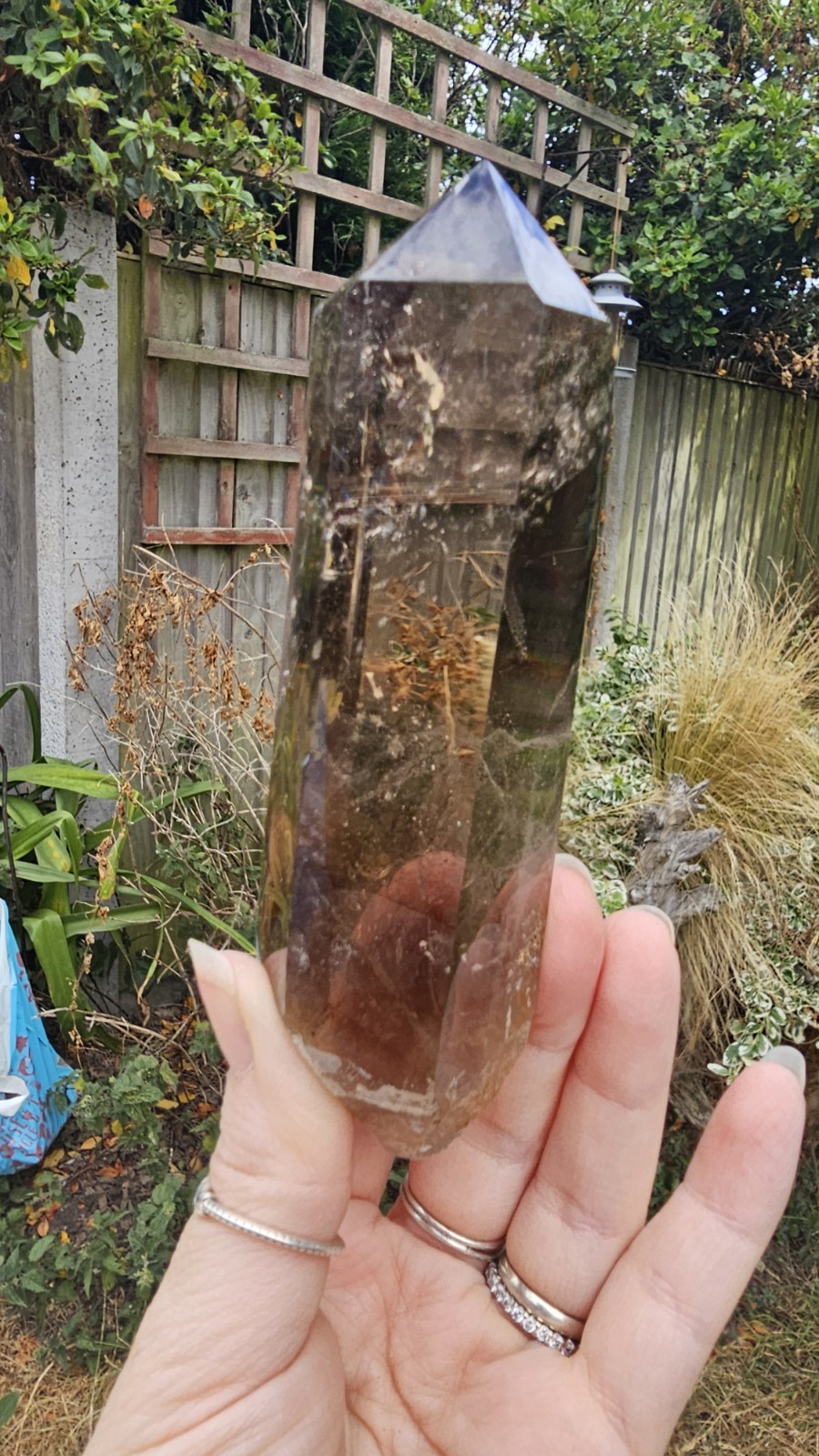 A Grade Smokey Quartz Freeform On Wood Root Base Point 261g 15.5cm smoky