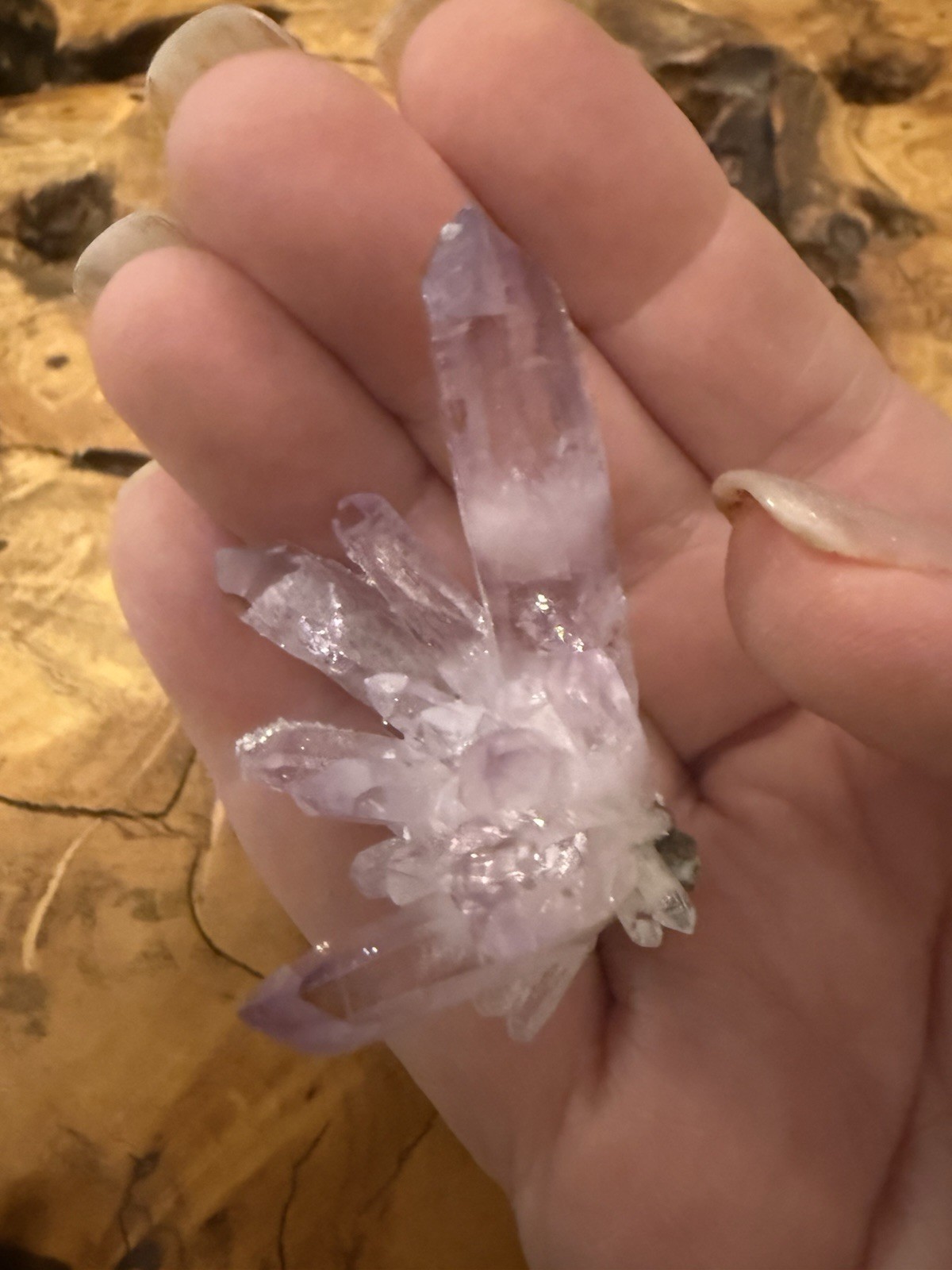 Veracruz amethyst crystal Cluster collector specimen w Druzy