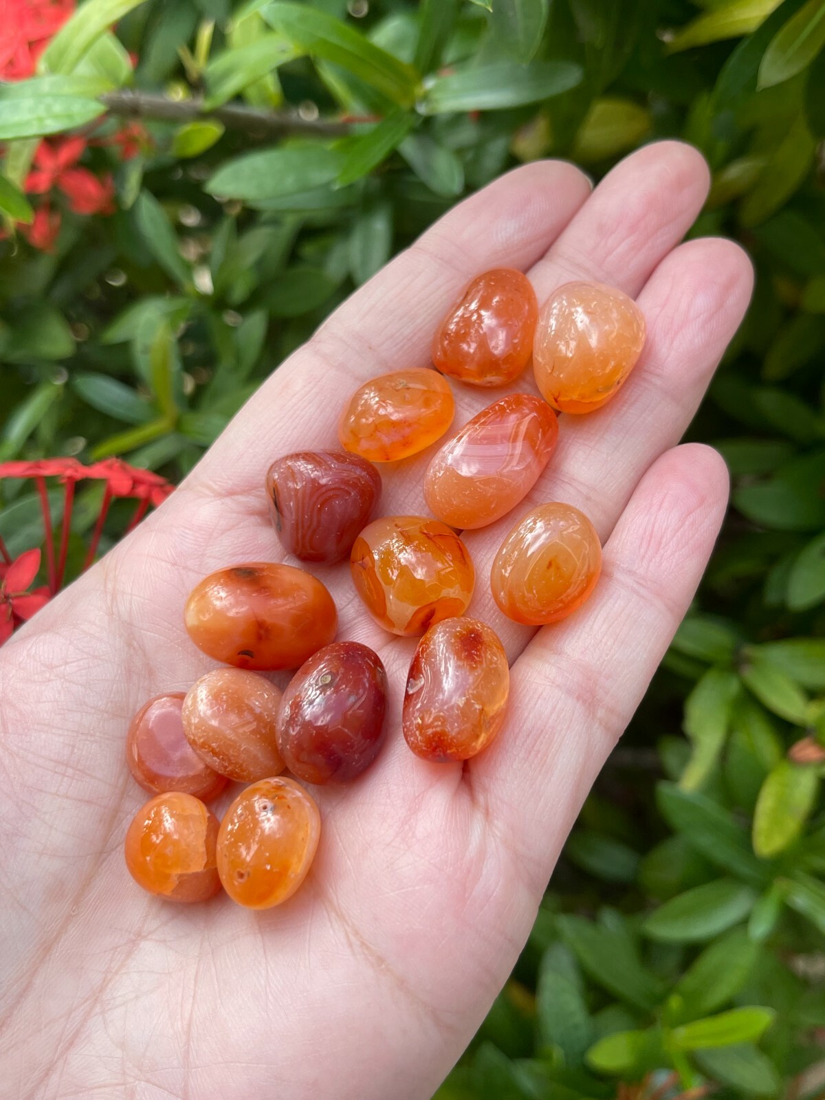 Grade A++ Carnelian Tumbled Stones, 0.5-0.75″ Small Tumbled Carnelian, Bulk Lots