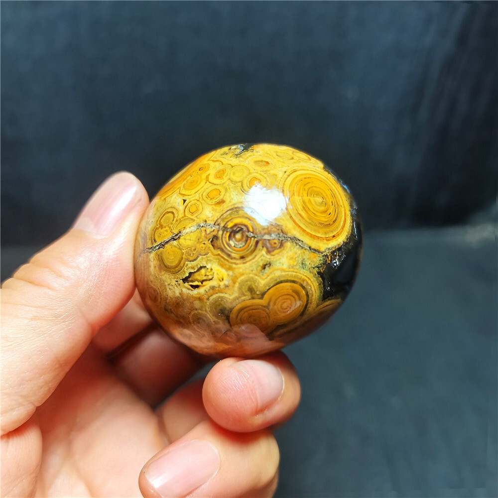 Rare 98G Natural Inner Mongolia Gobi Eye Agate Geode Collection Healing WYY2862