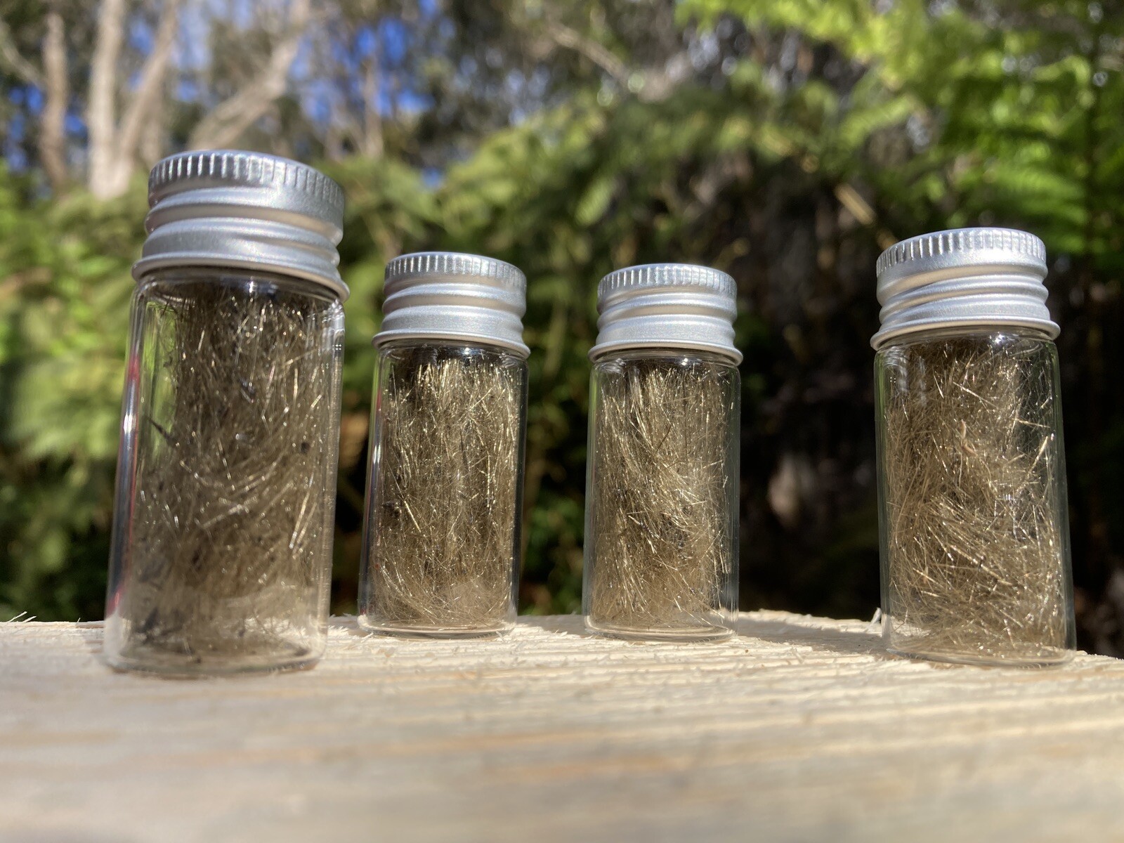 Olivine Crystal Volcanic, Pele’s Hair, Olivine Mineral Glass Specimens ￼10ml.