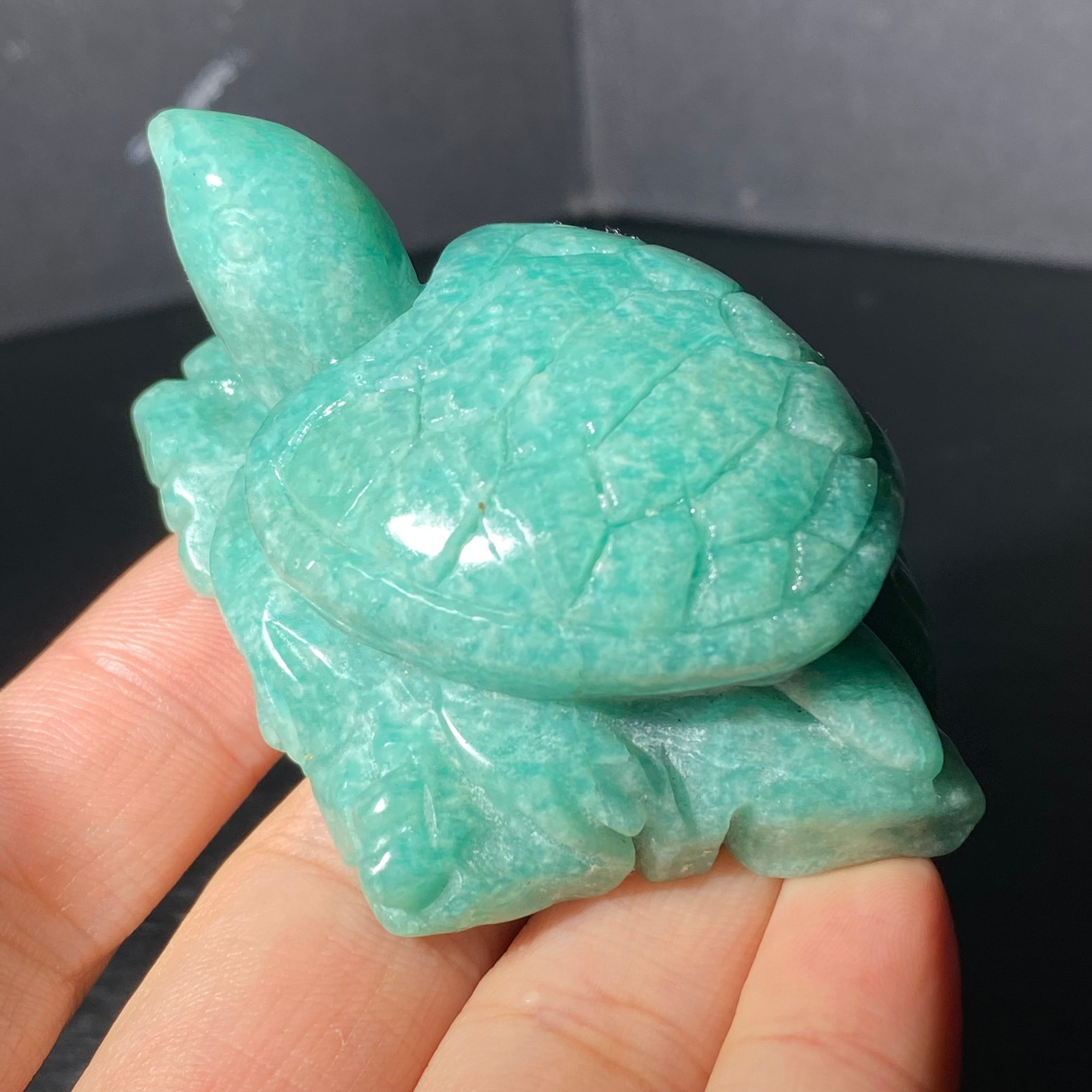 108G Natural Tianhe stone Turtle Quartz Tortoise Carved Crystal Skull Healing