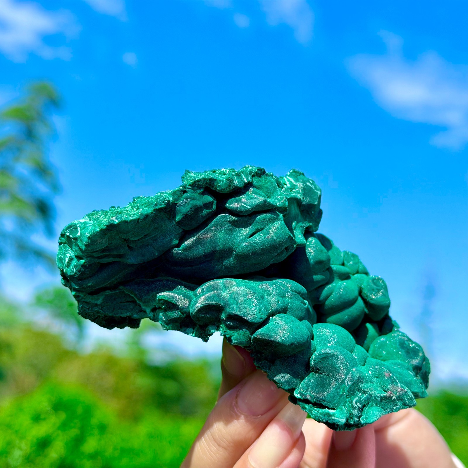 253G Natural VELVET Malachite cat’s eye specimen crystal rough mineral-Congo