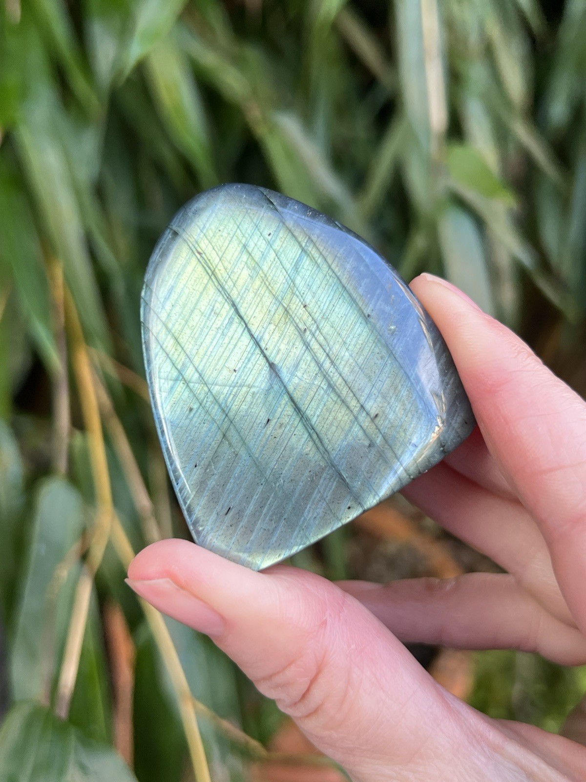 Silver Blue Labradorite Freeform Iridescent Crystal AAA+ 15
