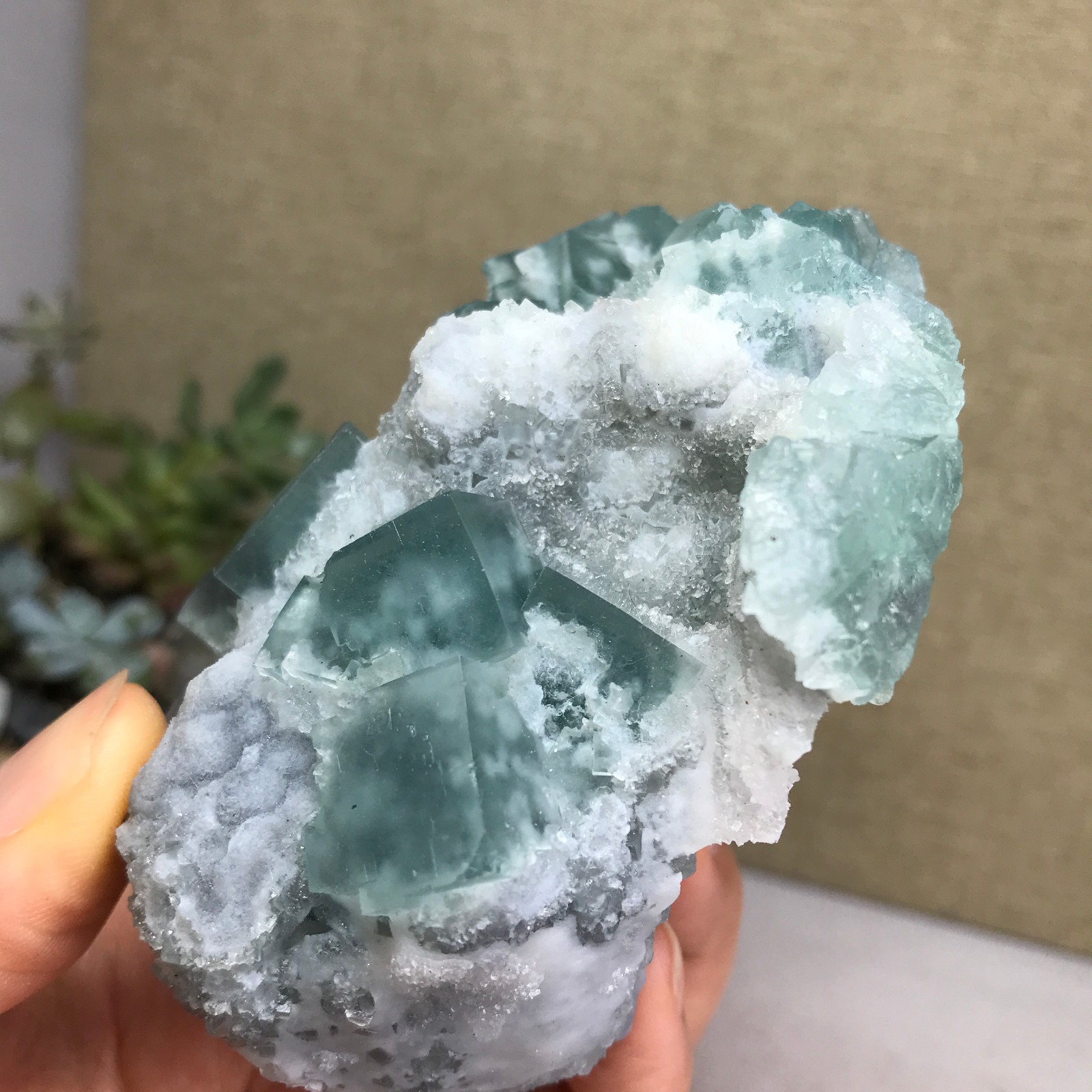 271g NATURAL Green Cubic FLUORITE paragenesis Crystal Cluster Specimen A4776