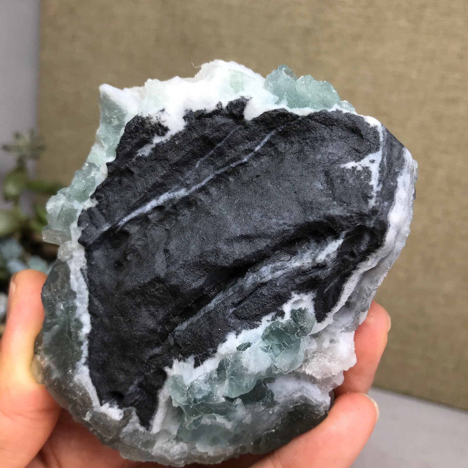 271g NATURAL Green Cubic FLUORITE paragenesis Crystal Cluster Specimen A4776