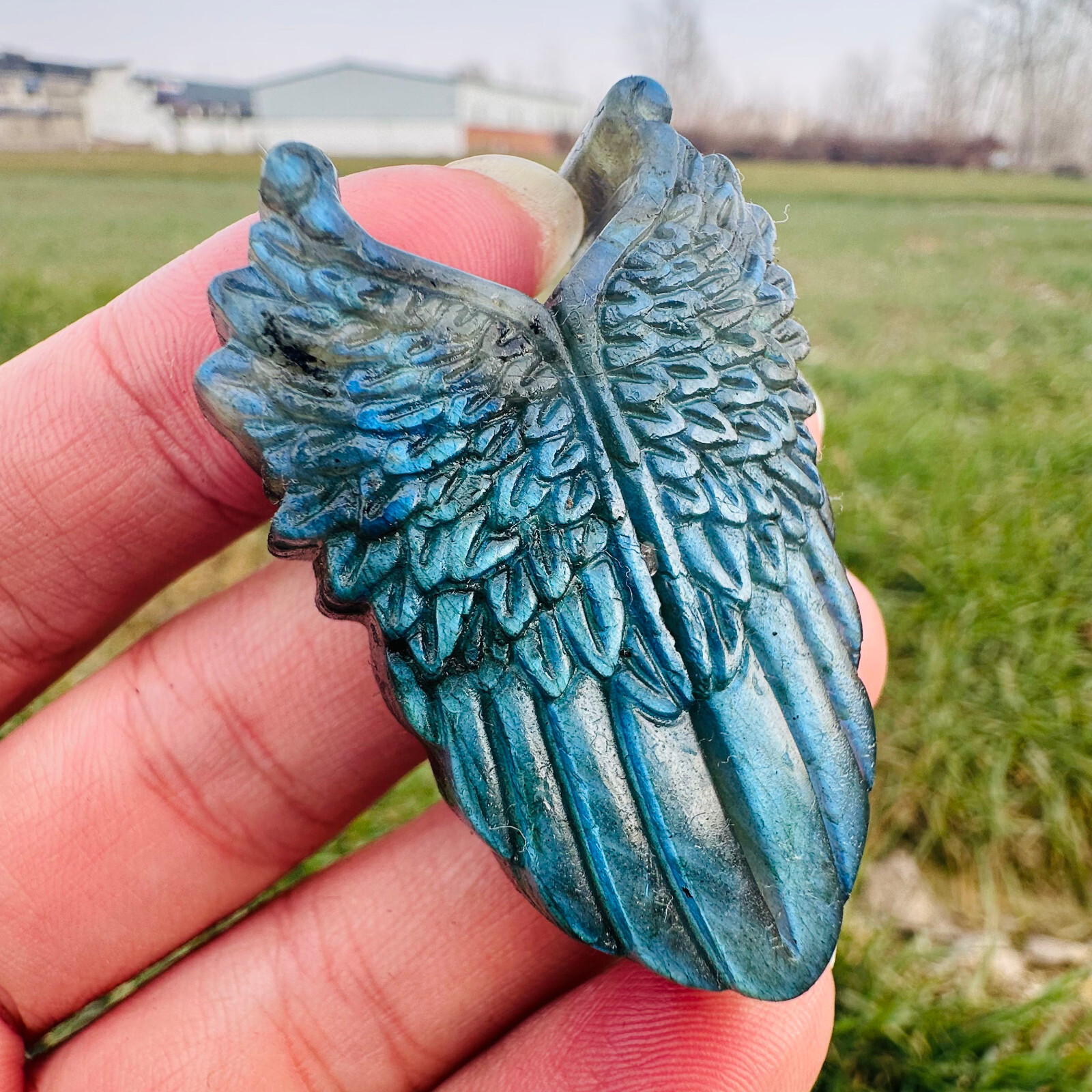 Natural Labradorite Carved Wing Quartz Skull Crystal Specimen Reiki Healing 1PC