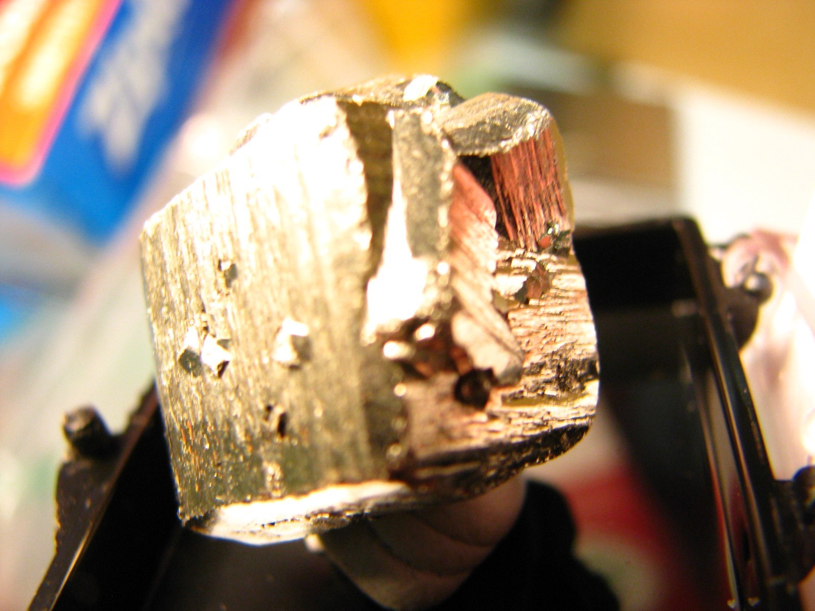 GOLDEN PYRITE THUMBNAIL IN CASE CUBIC MURO DE AGUQAS LA RIOGA SPAIN #159