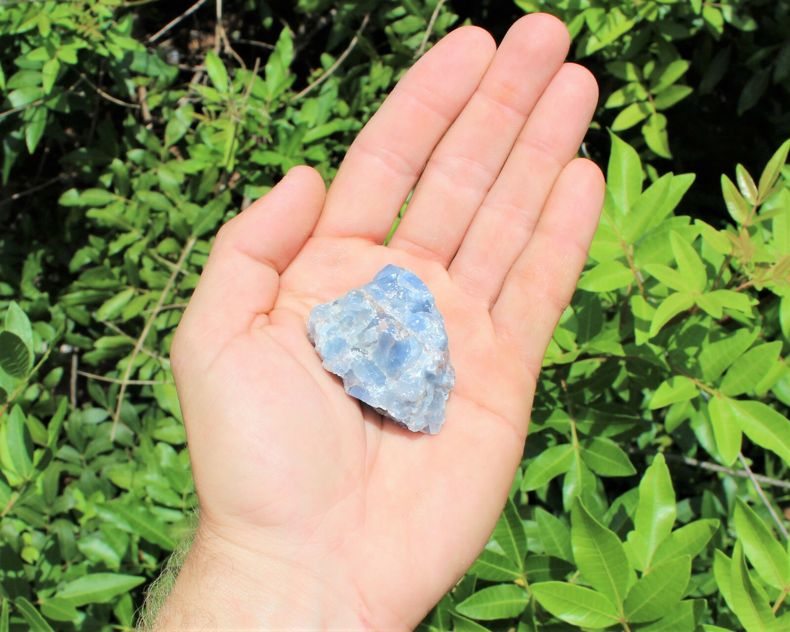 Mixed Rough Crystals: 9 Piece Starter Set, MEDIUM 1-1.5″
