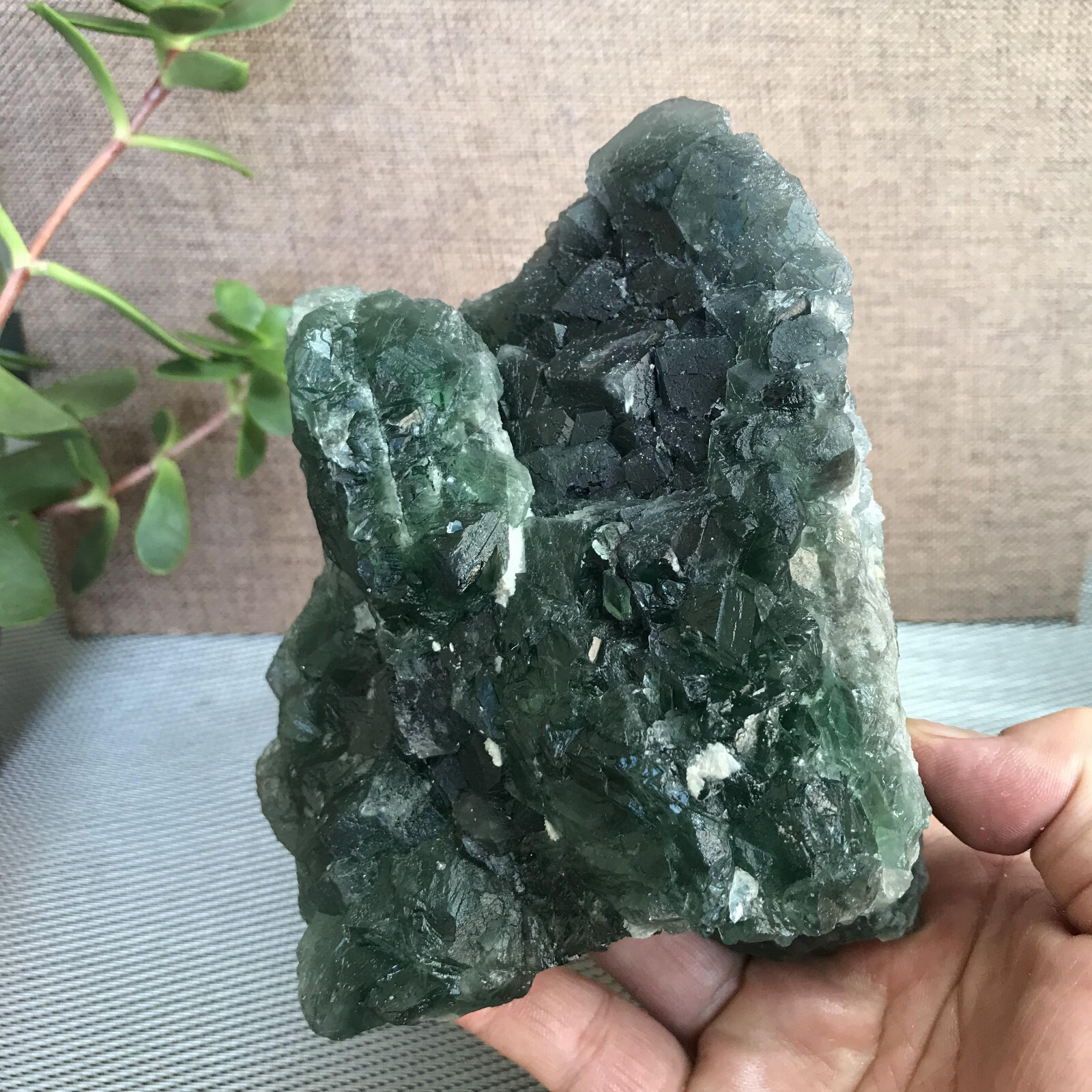 143mm NATURAL Green Cubic FLUORITE Crystal Cluster Mineral Specimen 1.58kg A1279