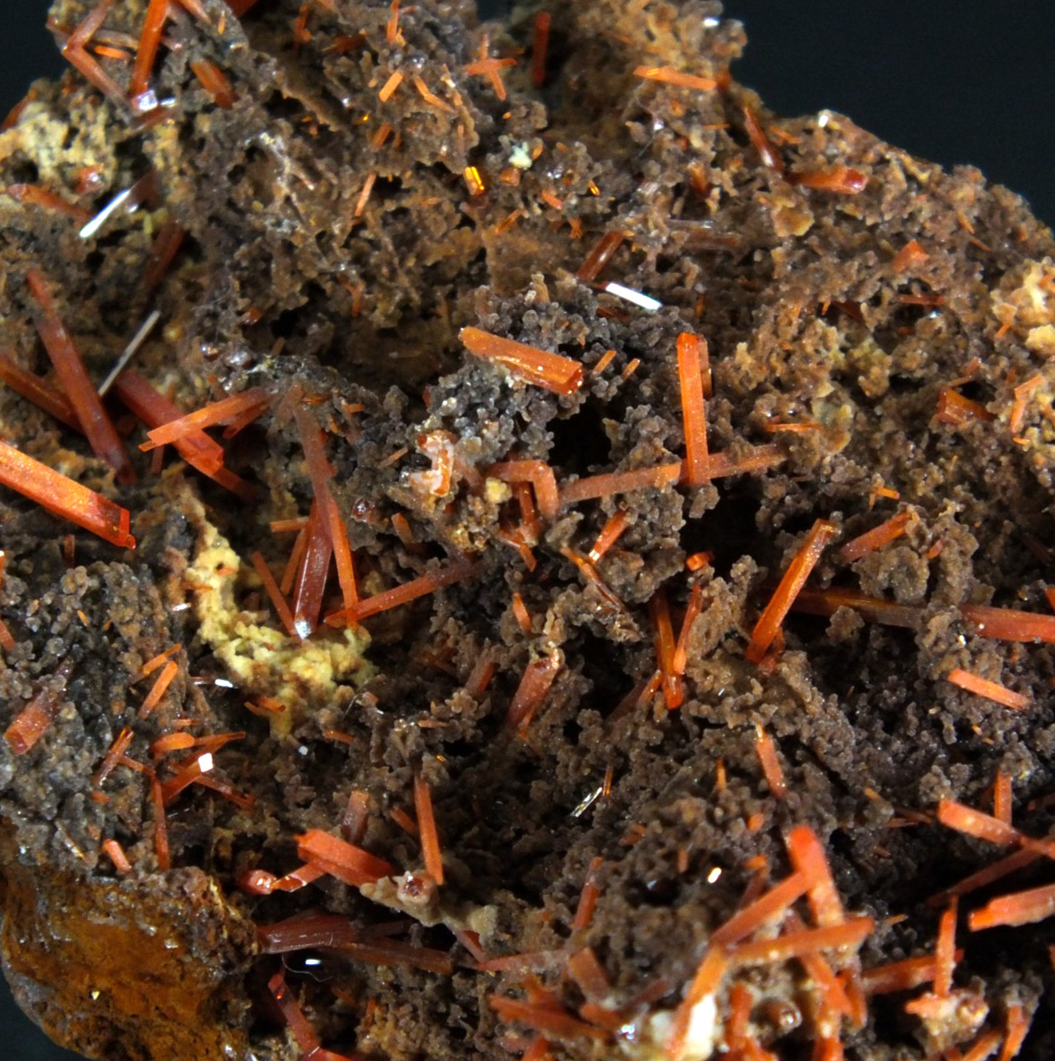Crocoite Crystals. Adelaide Mine Dundas. Tasmania Australia (EA11520)