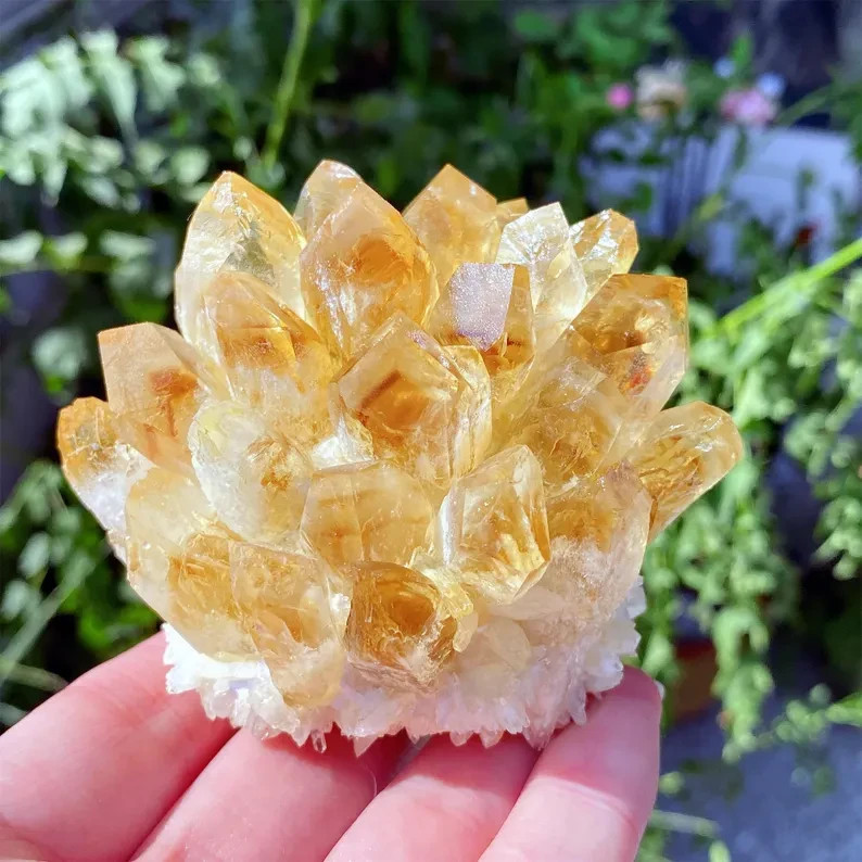 1pc Rare Citrine Quartz Cluster Healing Health Wealth Crystal Specimen Ornament