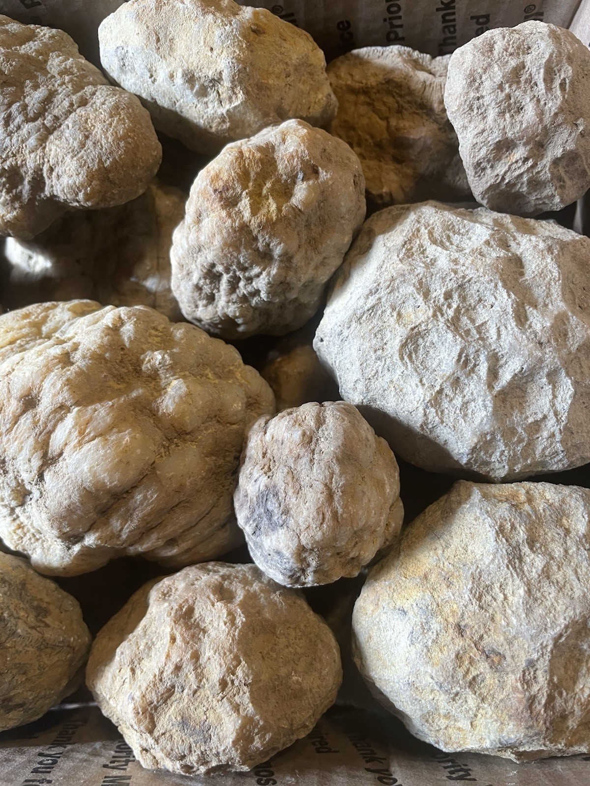 BOX OF KENTUCKY GEODES:20-1” TO 4”. ALL RATTLE!! *** BREAK YOUR OWN ***