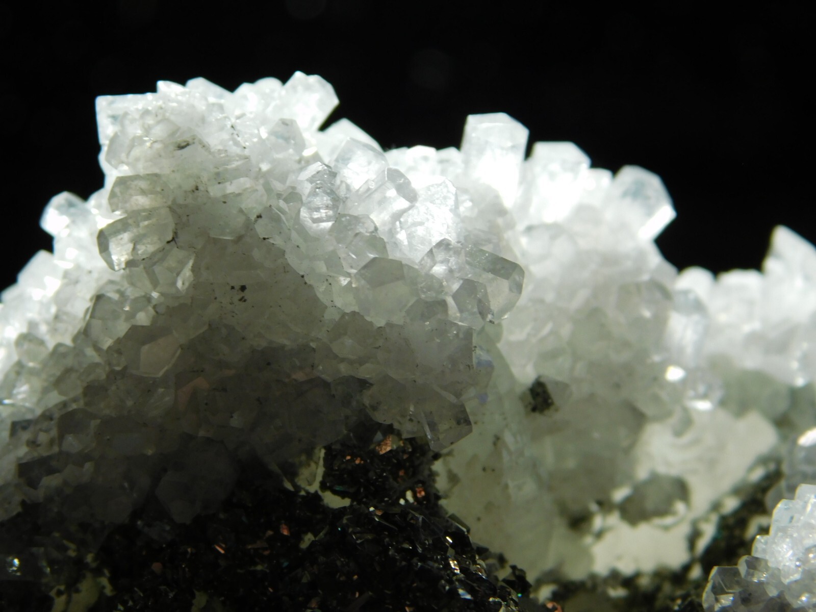 BIG! Pyrite Crystal Cluster on DOGTOOTH Calcite Crystals! From Mexico 1202gr