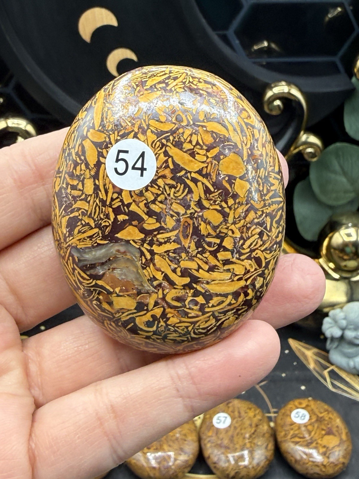 Natural Lg Calligraphy Stone Miriam fossilized shells, hematite, iron Free ship