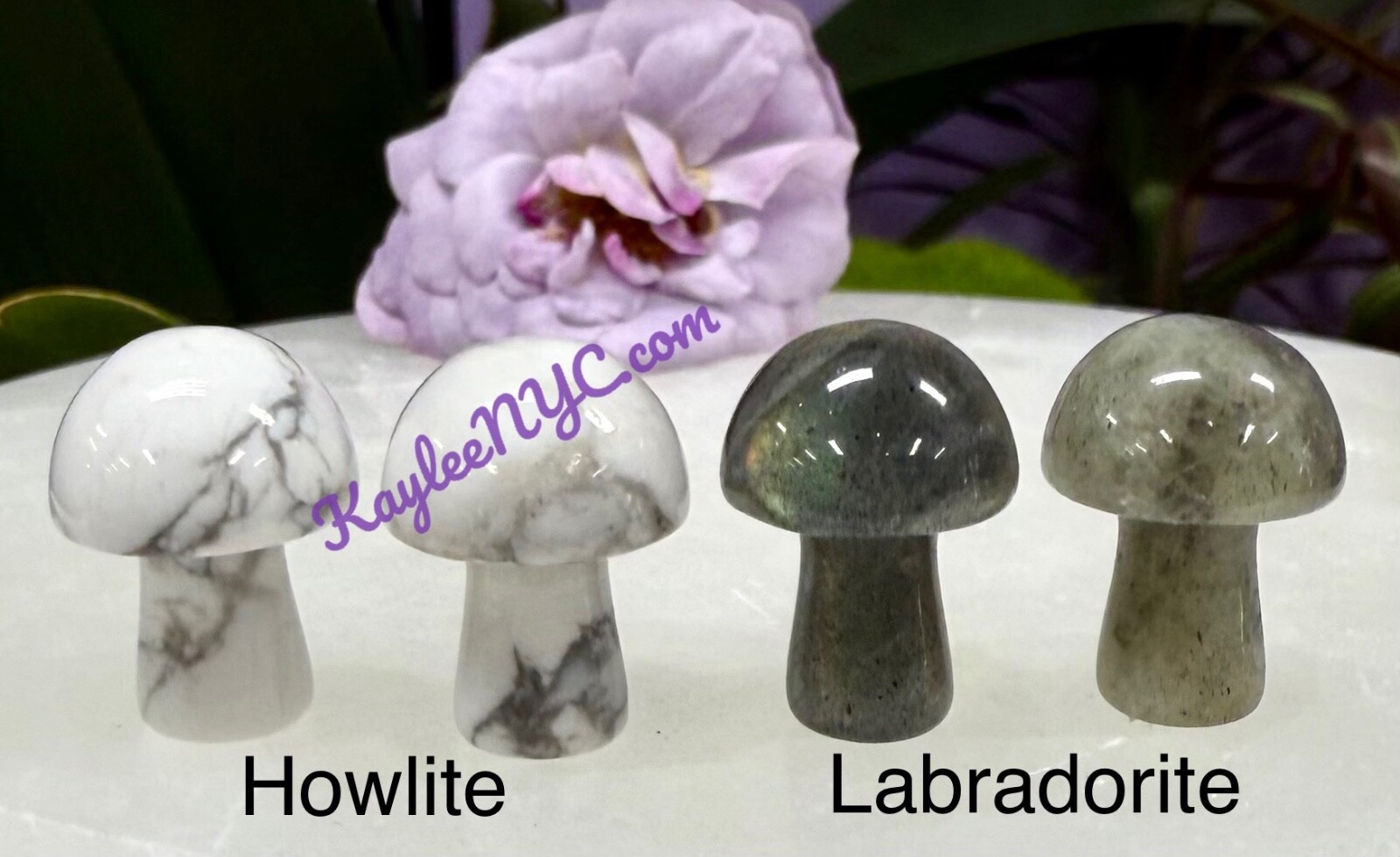Wholesale Lot 50 Pcs 20mm Mixed Crystal Mushroom Healing Energy
