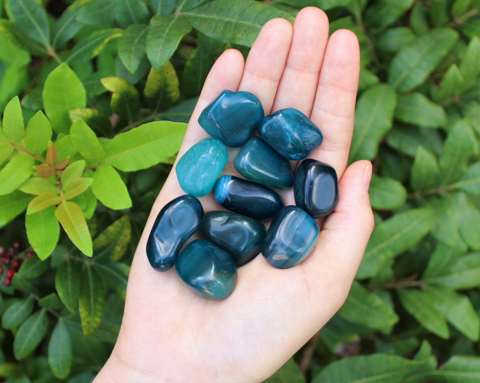 1 lb Bulk Blue Agate Tumbled Stone Premium Quality ‘A’ Grade, Dyed, Teal 16 oz