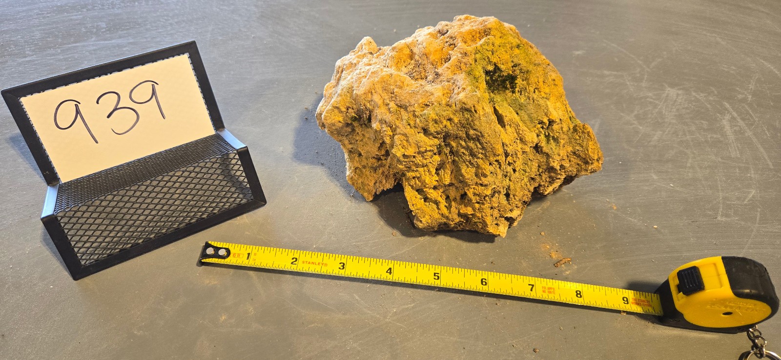 7″ Medium Pumice Stone Floating Natural Rock Carnivorous Succulent Garden #939